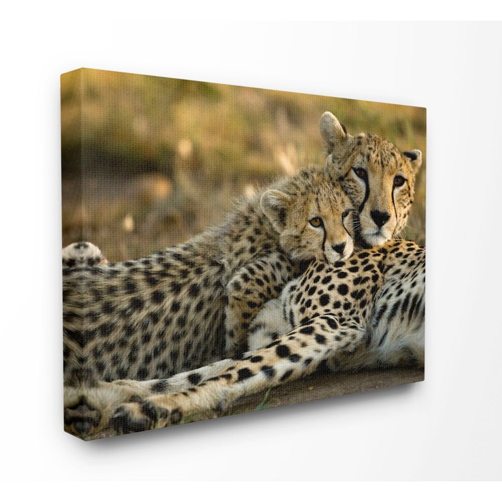 Cheetah Family Mother with Cub 30x40 Canvas Wall Art