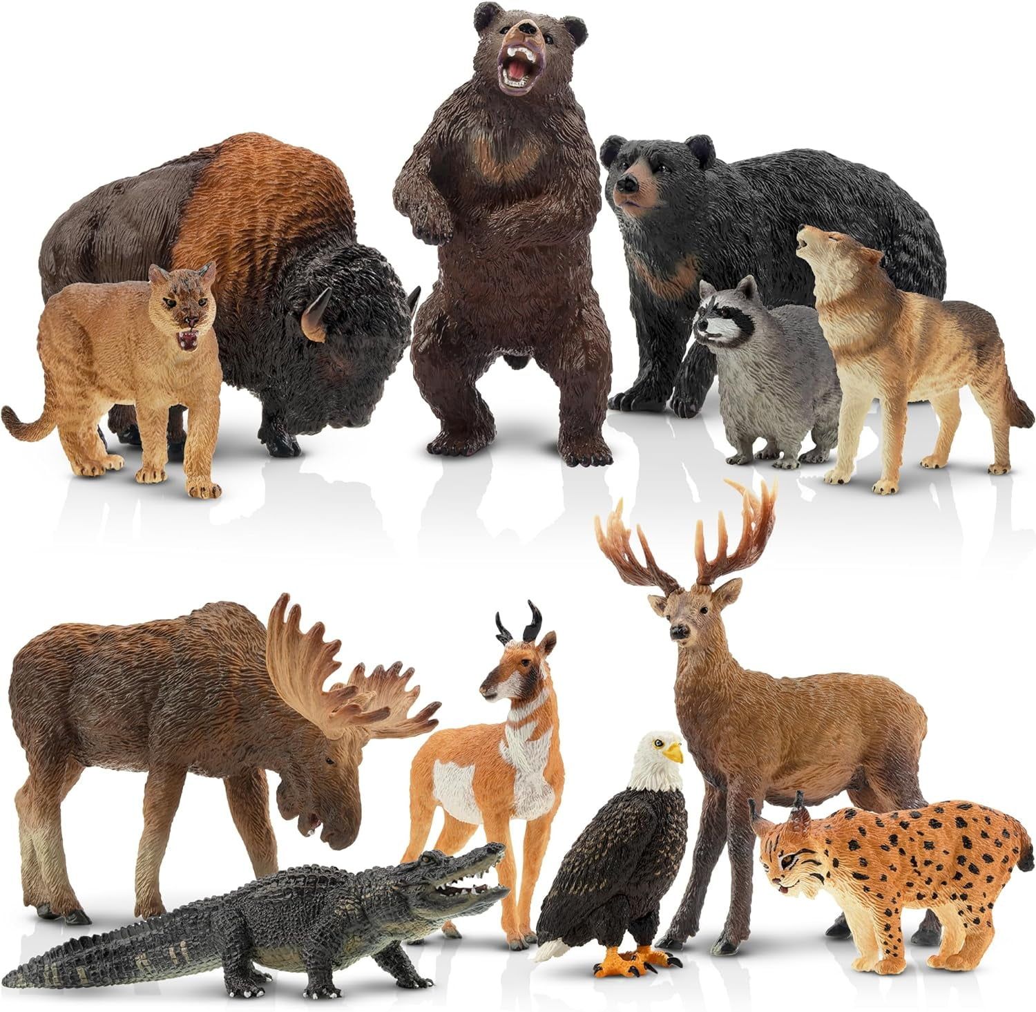 Toymany 12PCS Realistic North American Forest Animal Figurines Set