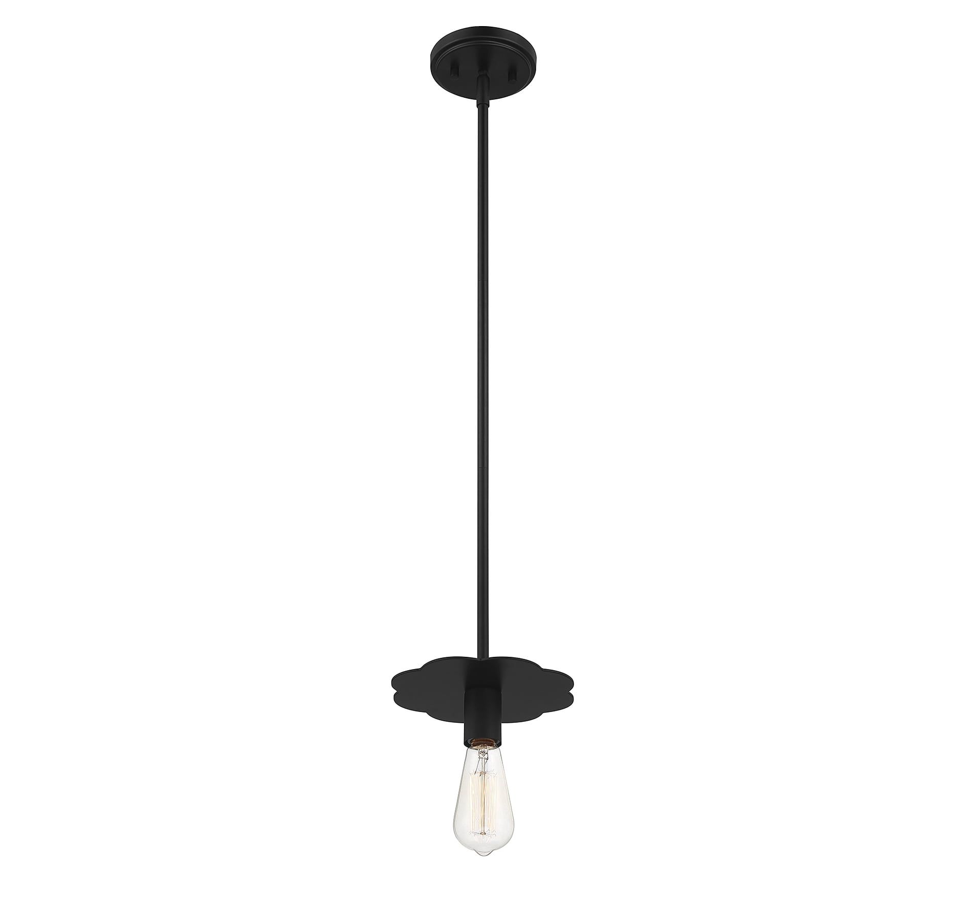 Matte Black Mini Pendant Light with Adjustable Height