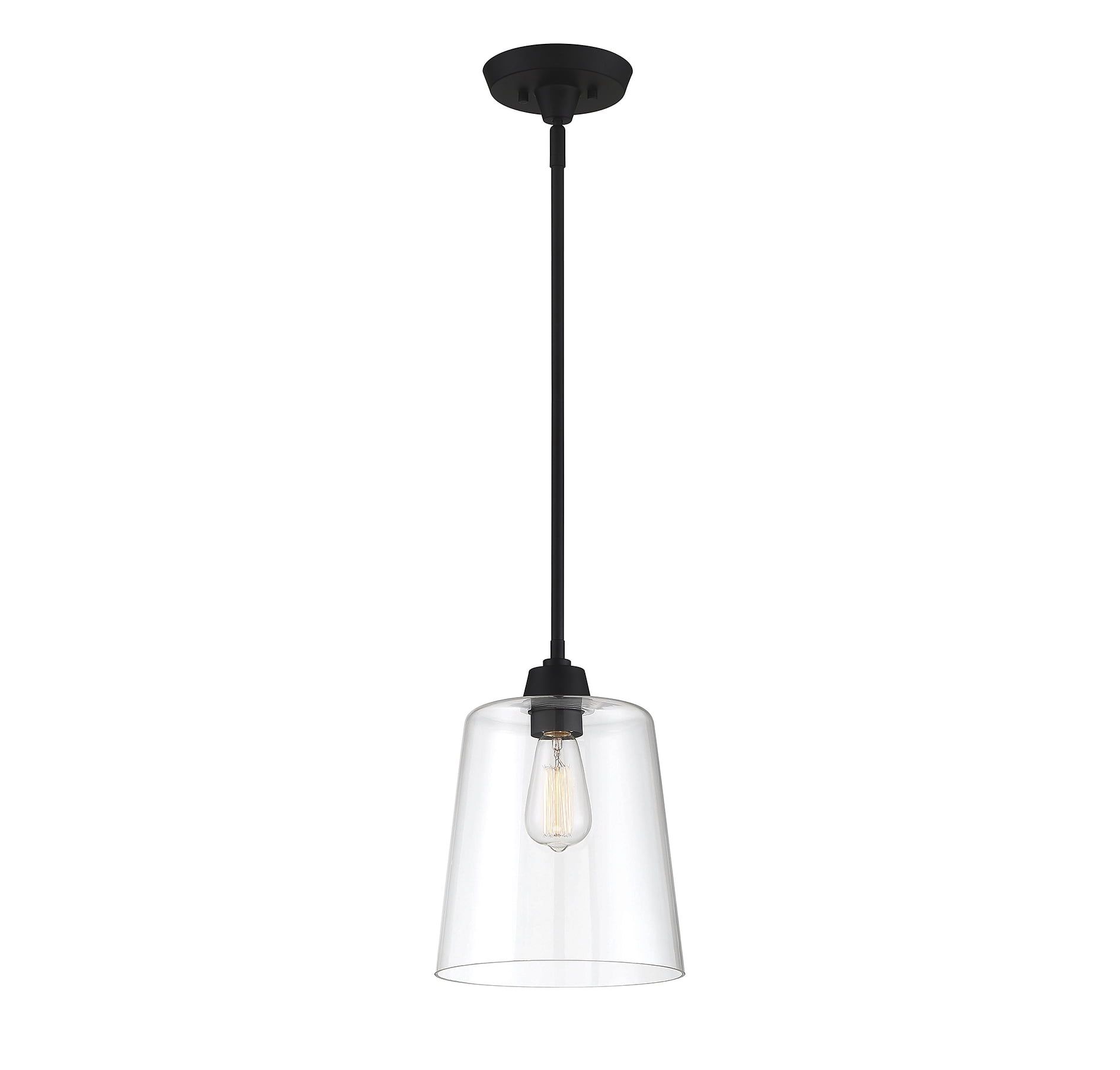 Templeton Matte Black Pendant Light with Clear Glass Shade