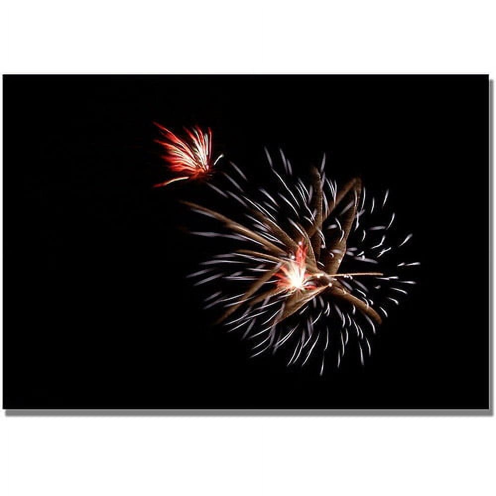 Kurt Shaffer Abstract Fireworks Canvas Wall Art 30" x 47"