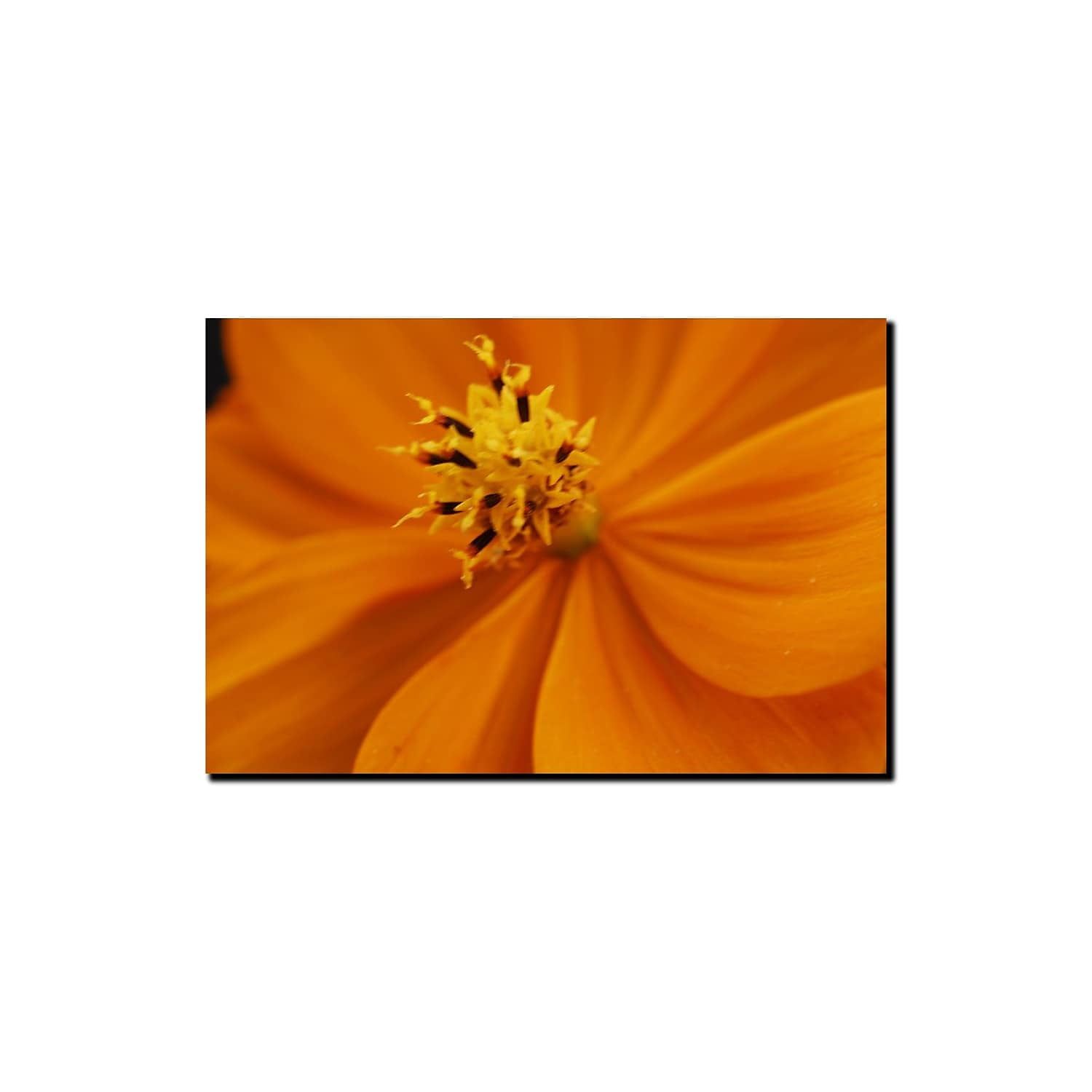 Orange Flower Photographic Print on Canvas with Black Frame