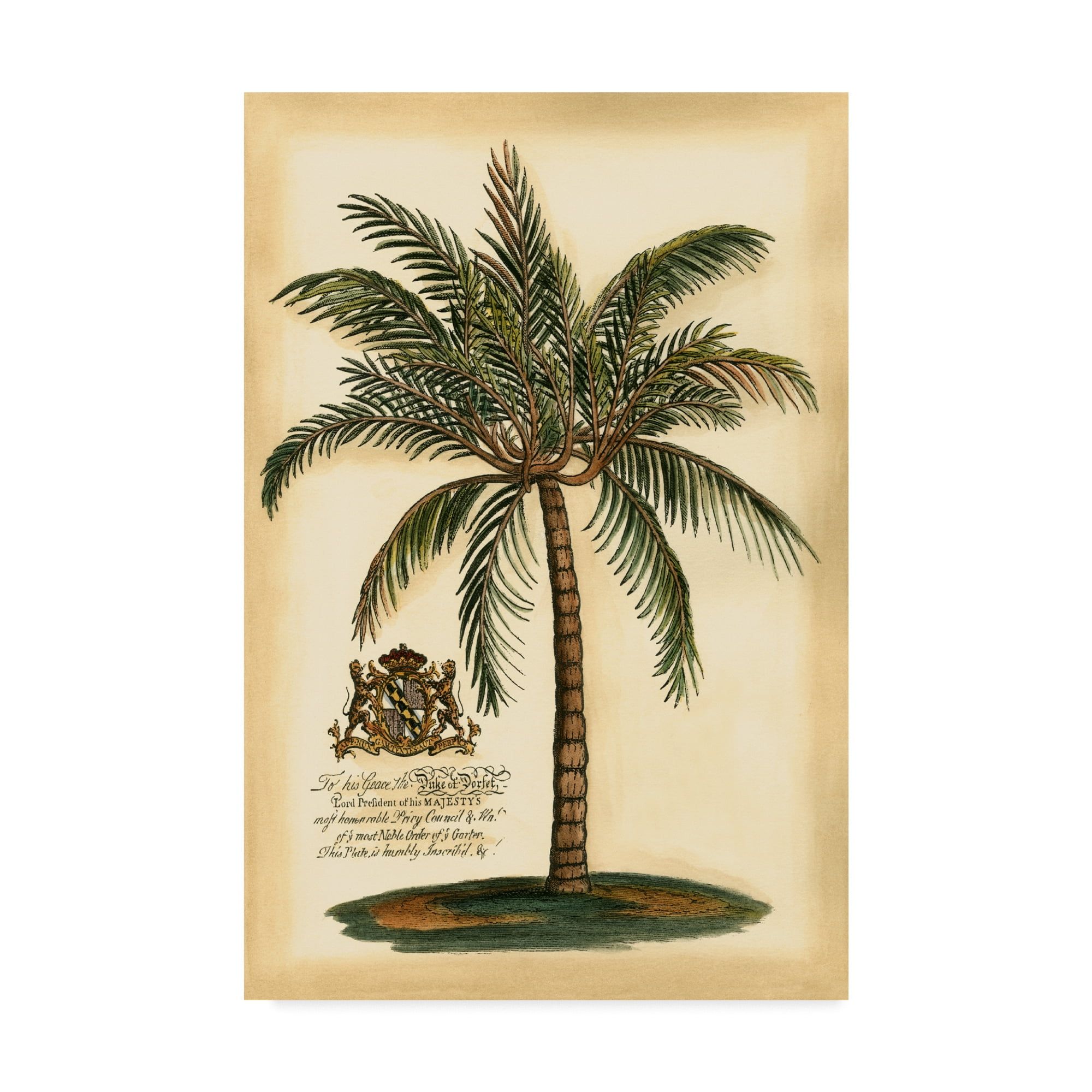 Framed Coastal Palm Tree Canvas Print, 16 x 24