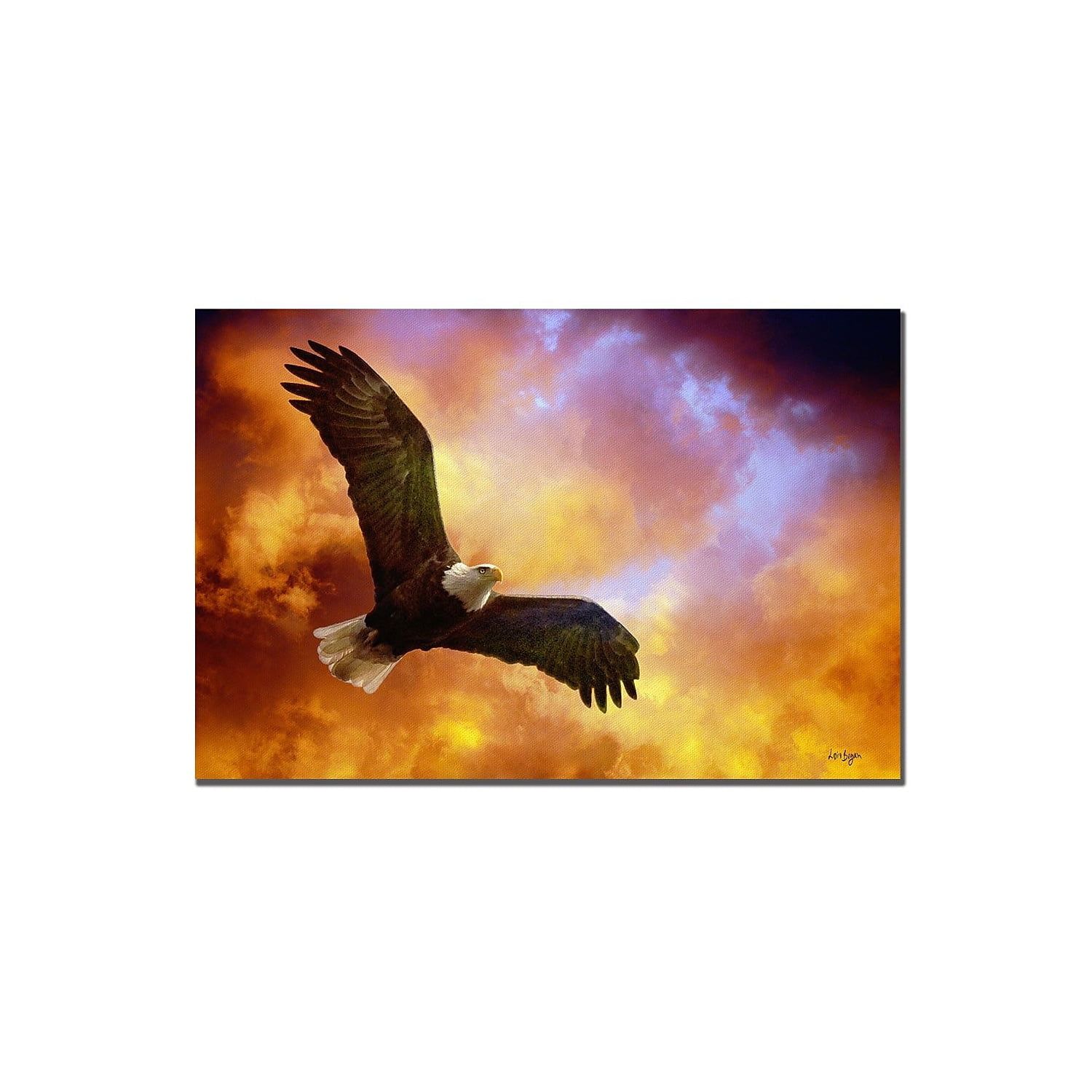 Majestic Eagle in Flight Canvas Art with Fiery Sky