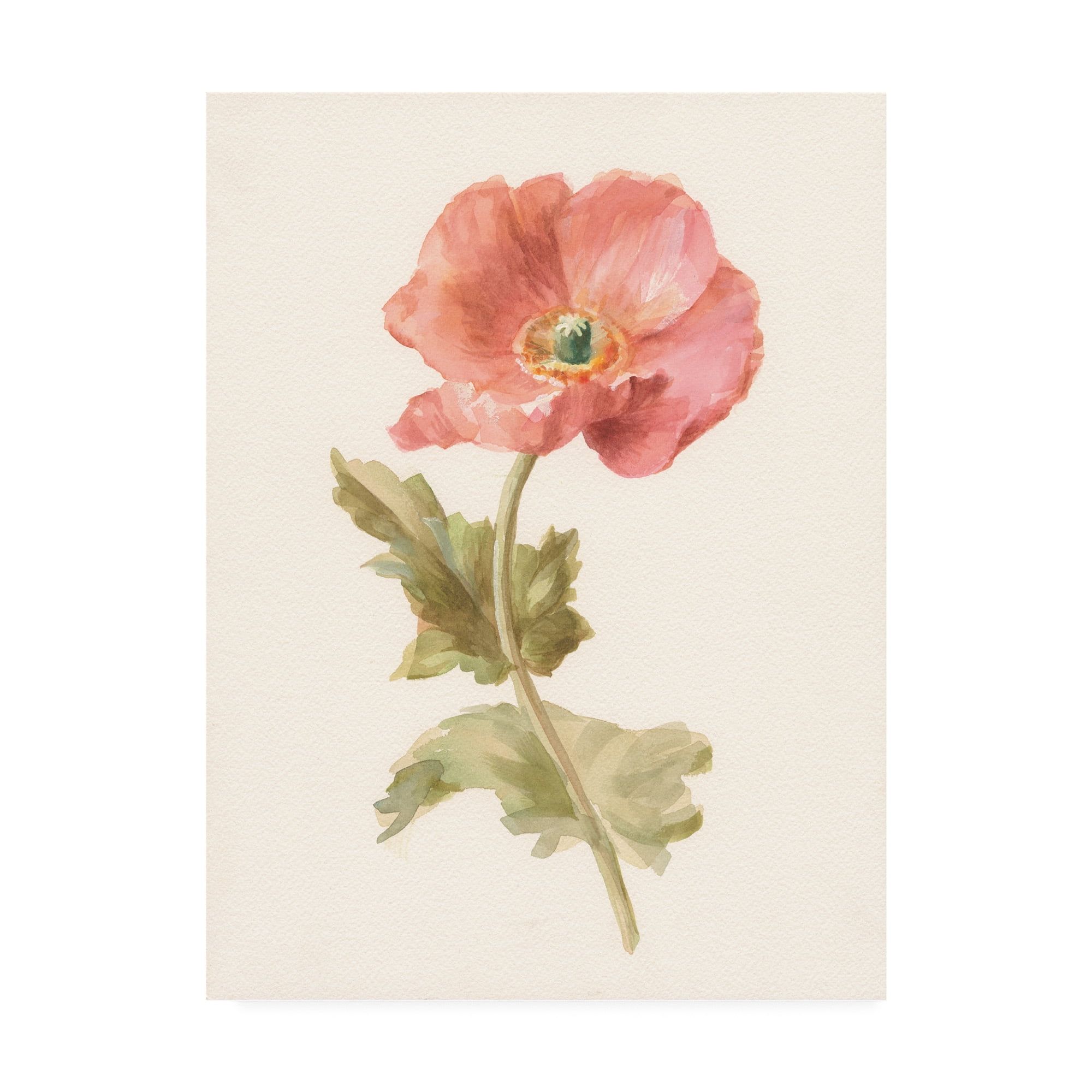 Garden Poppy Pink Floral Canvas Art 14 x 19