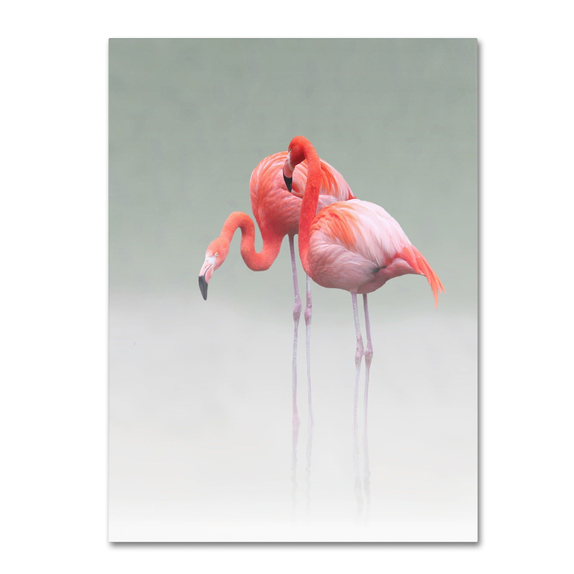 Tropical Flamingo Pair Gallery-Wrapped Canvas Art