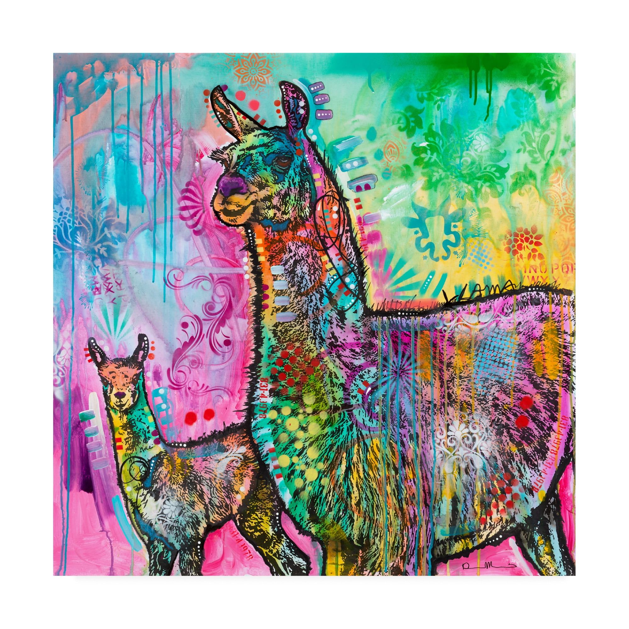 Dean Russo Colorful Llama 24x24 Wrapped Canvas Art