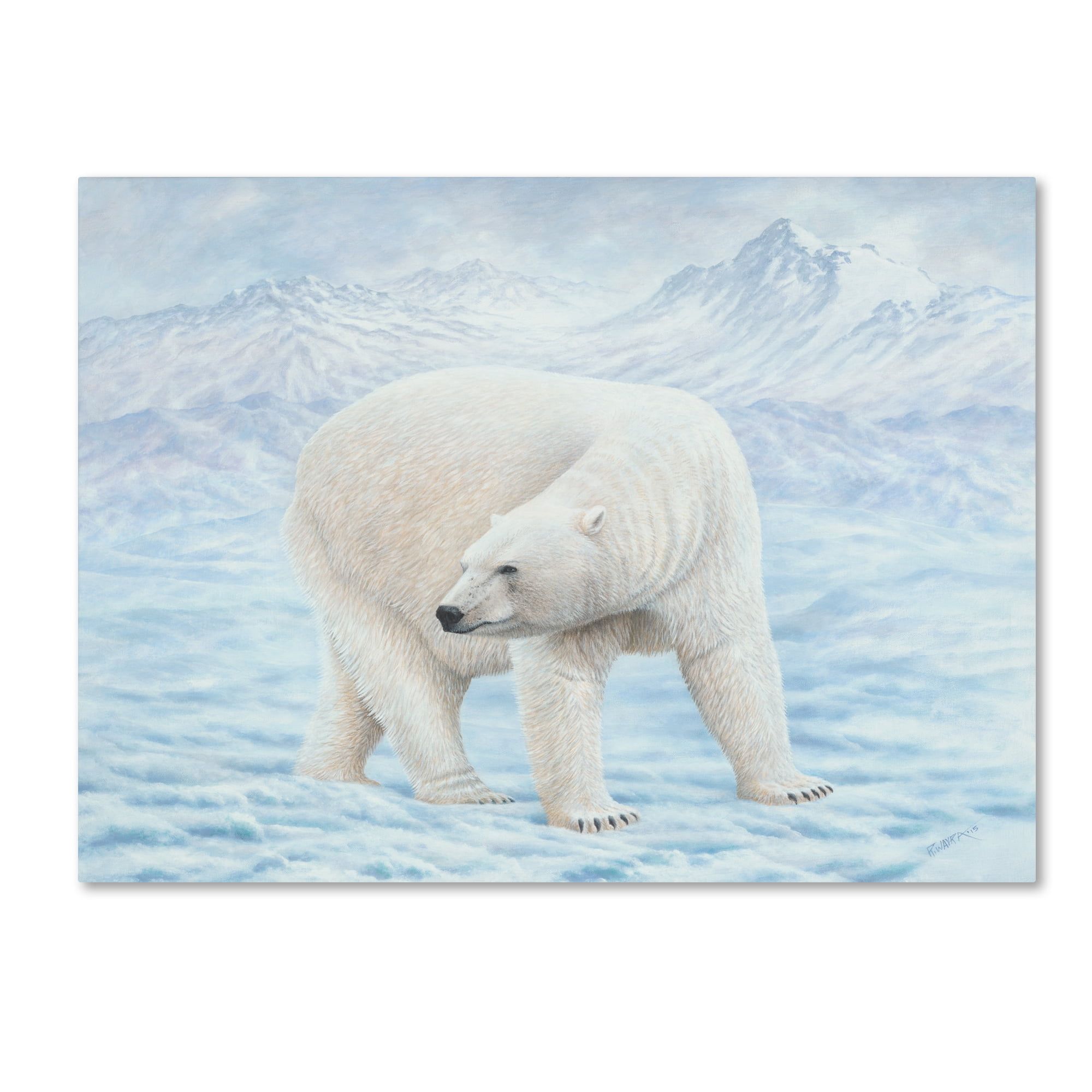 Robert Wavra Polar Bear Gallery-Wrapped Canvas Art 18x24