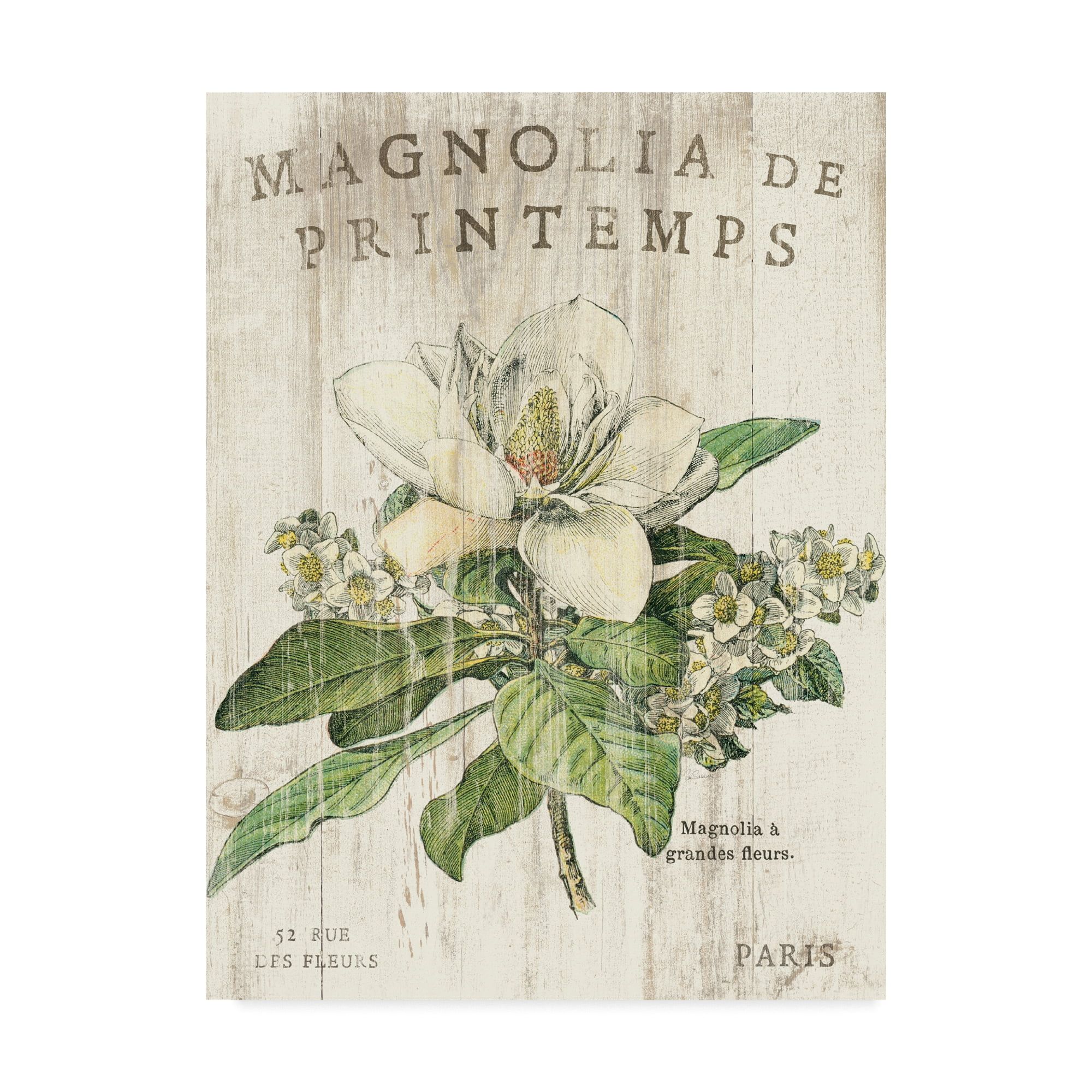 Magnolia De Printemps Floral Canvas Wall Art in Floater Frame