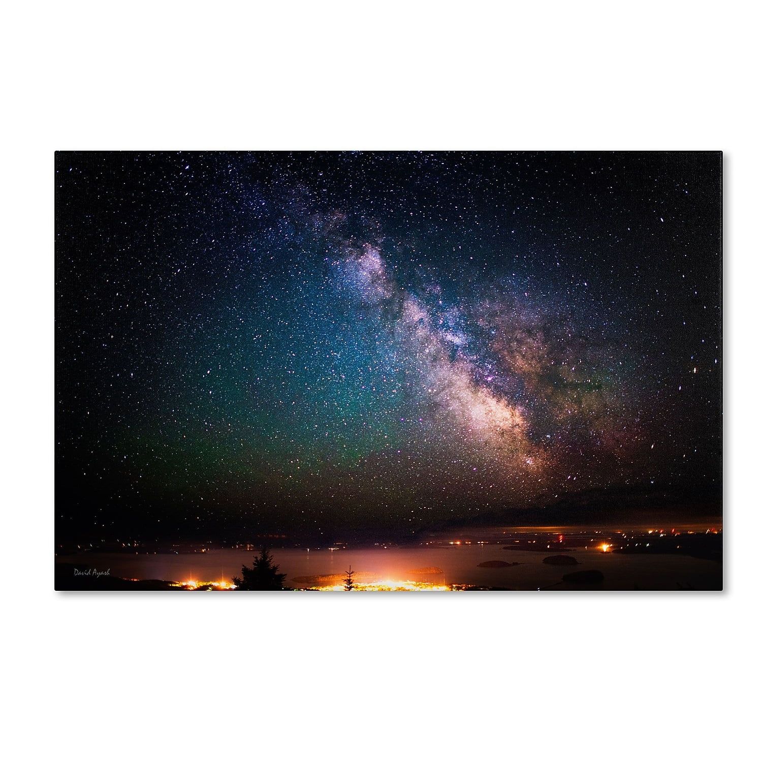 Milky Way Over Acadia National Park Framed Canvas Art