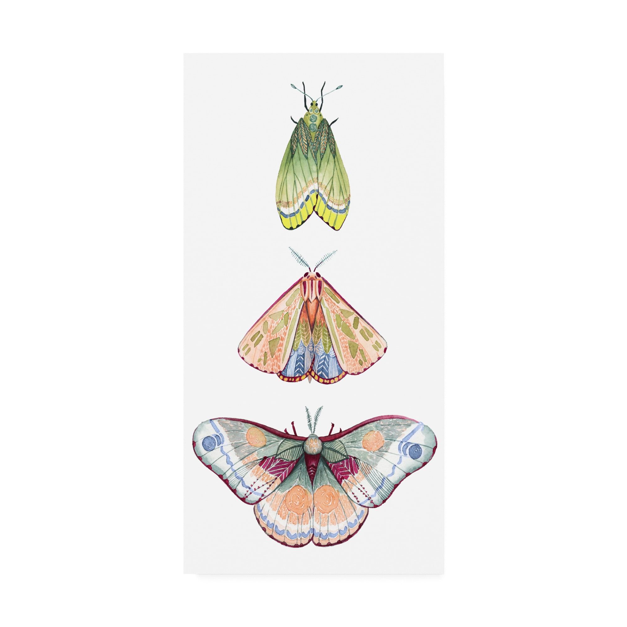 Grace Popp Moth Fairies II 10x19 Canvas Art