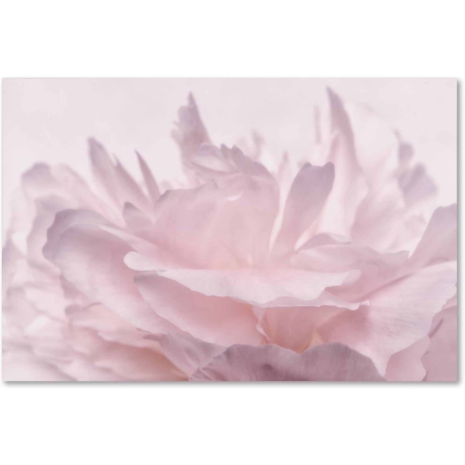 Pink Peony Petals Landscape Canvas Art in Soft Pastel