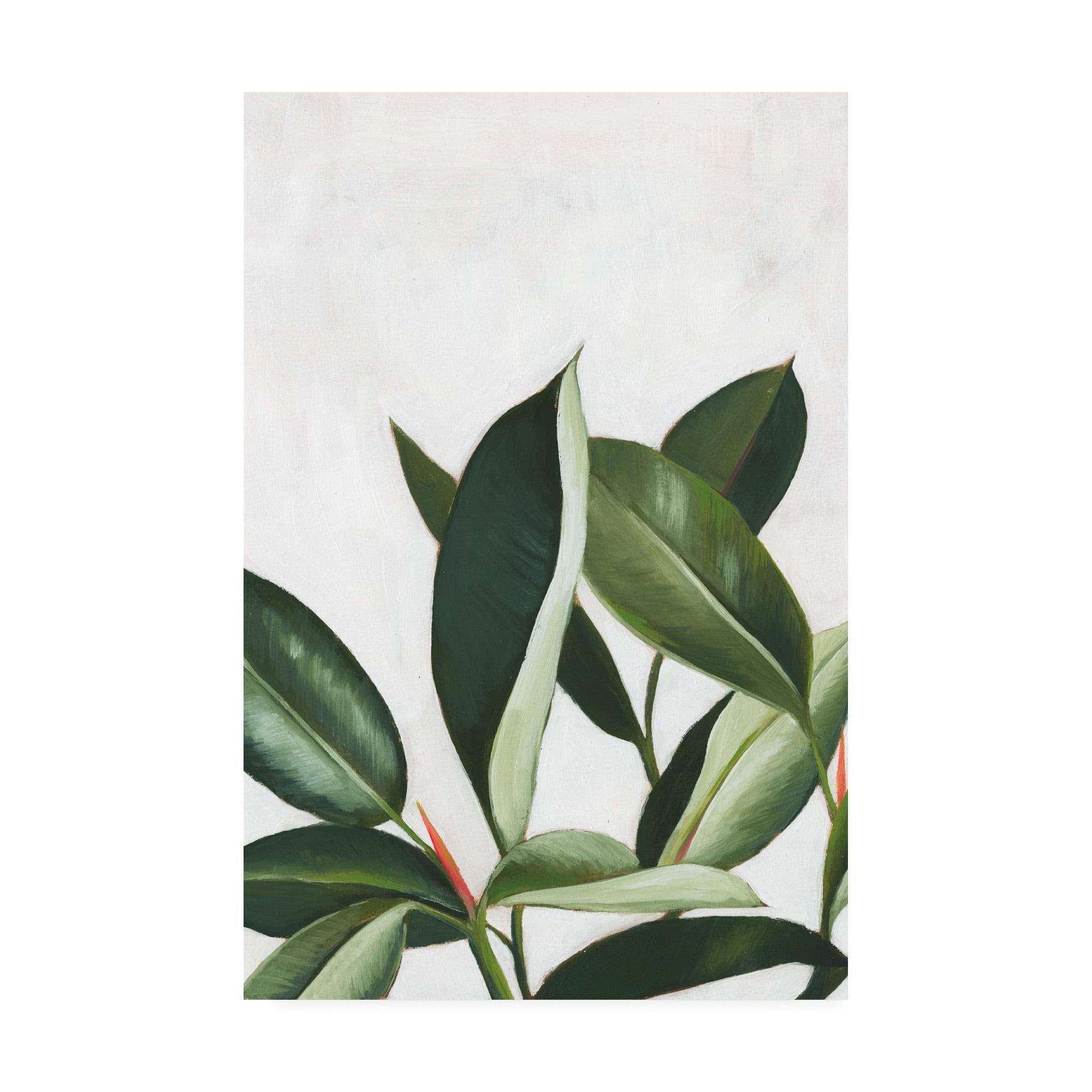 Grace Popp Tropical Green Leaves Canvas Art 12x19