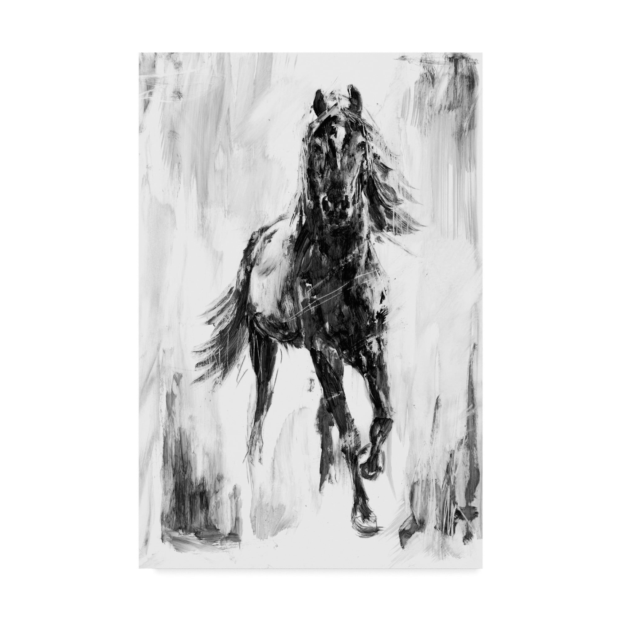 Ethan Harper Black and White Stallion Canvas Art