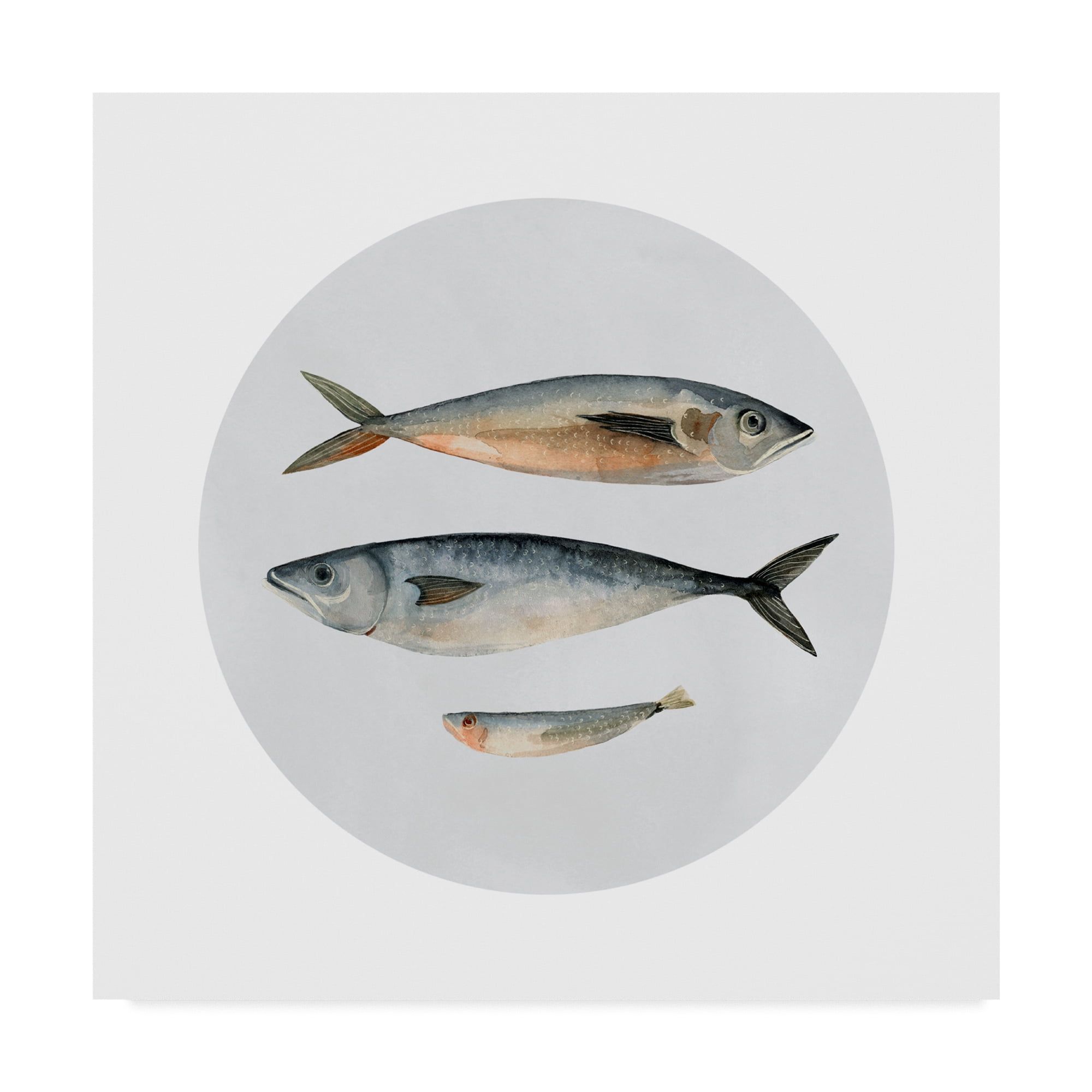 14" x 14" Gray and White Canvas Art with Three Fish