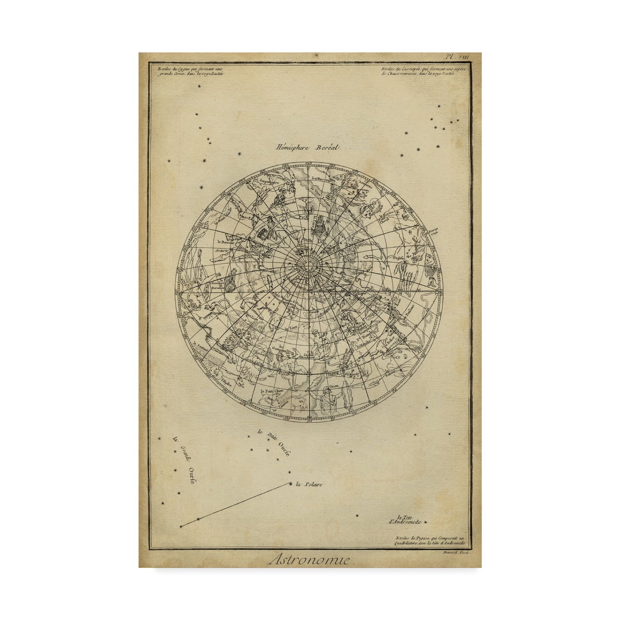 Vintage Astronomy Chart Tan and Brown Canvas Print