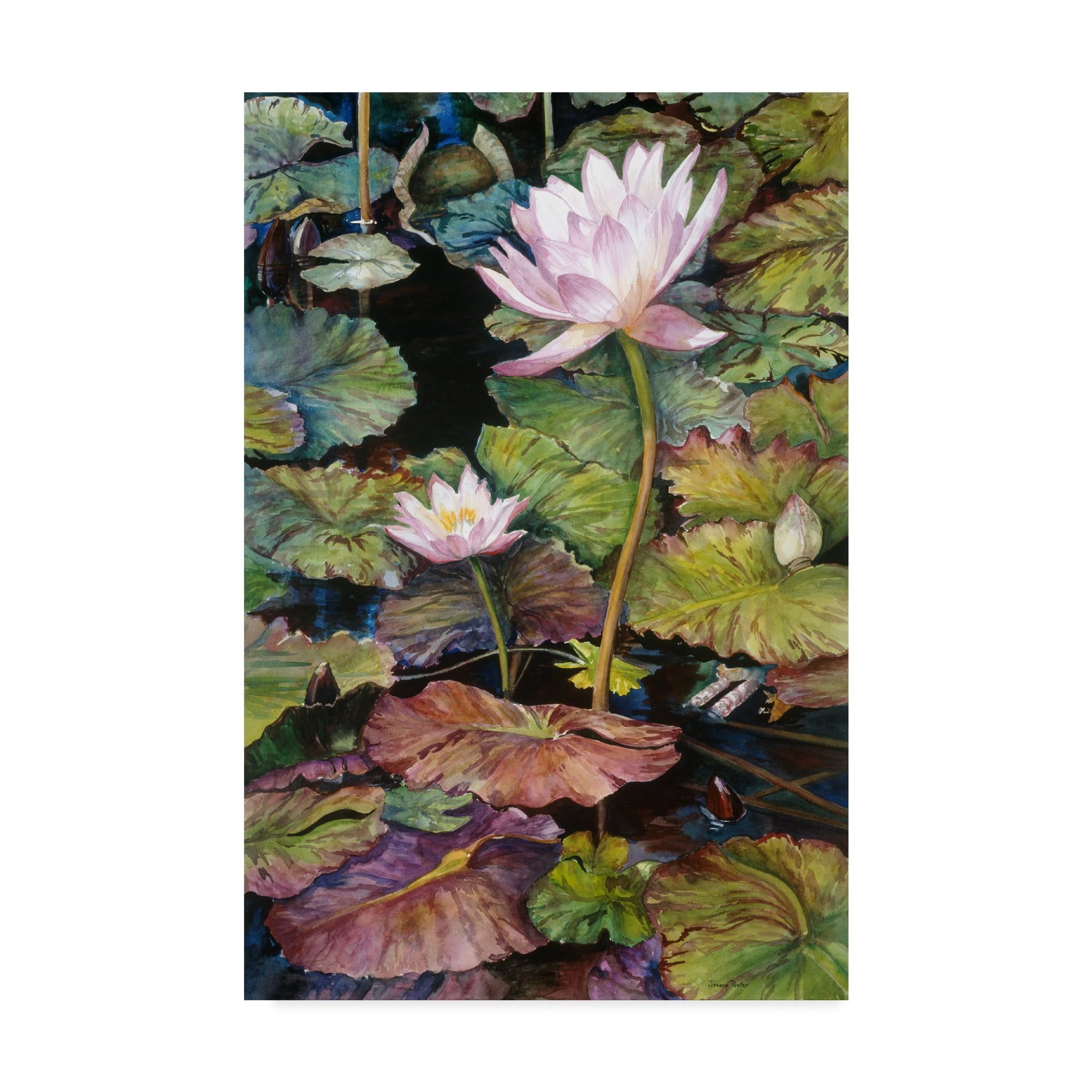 Joanne Porter Water Lilies Mid-Century Modern Canvas Art