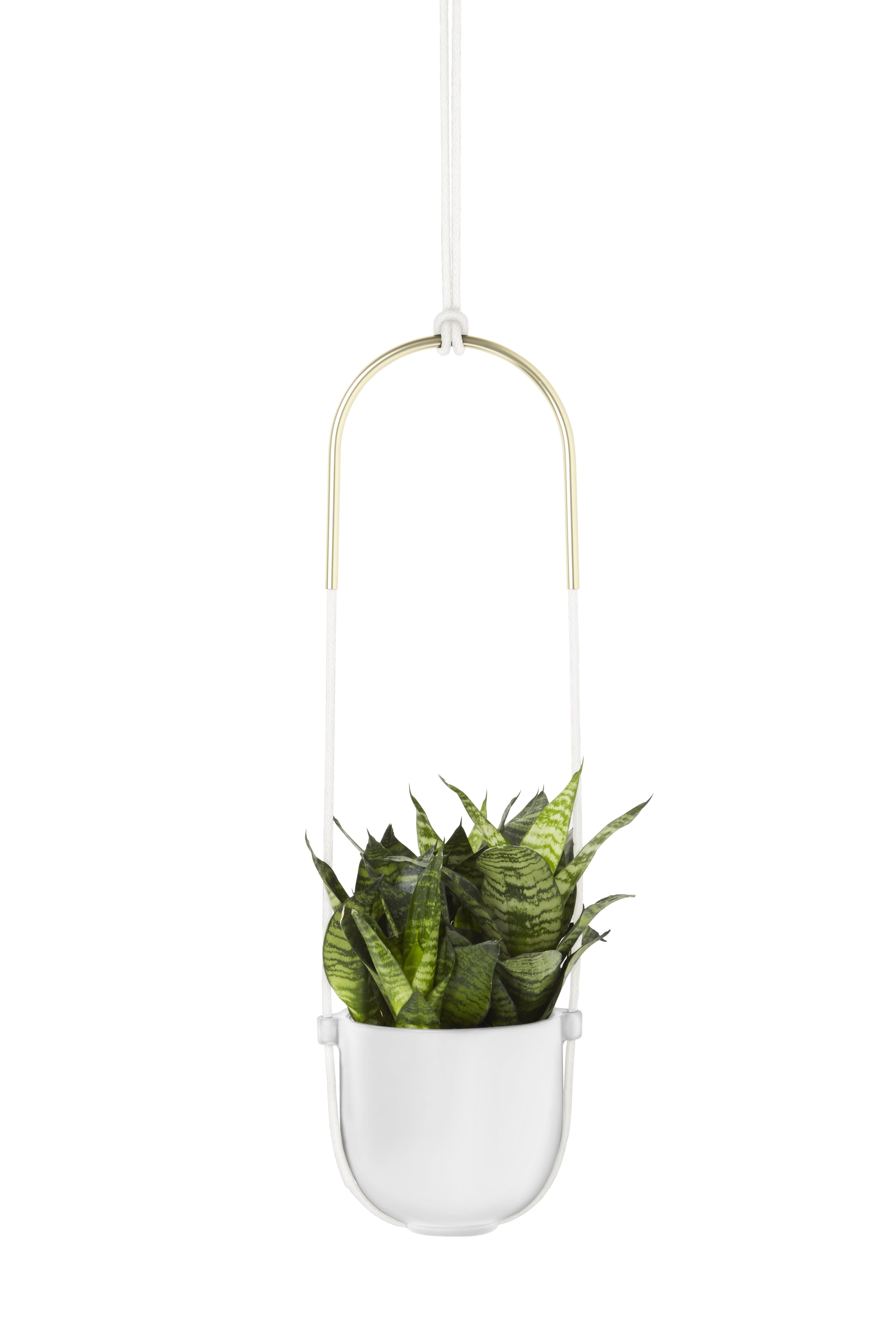 White Ceramic Bowl-Shaped Hanging Planter