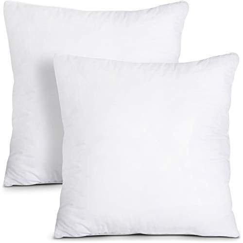 White Polyester Plush Throw Pillow Inserts, 20 x 20 Inches, Set of 2