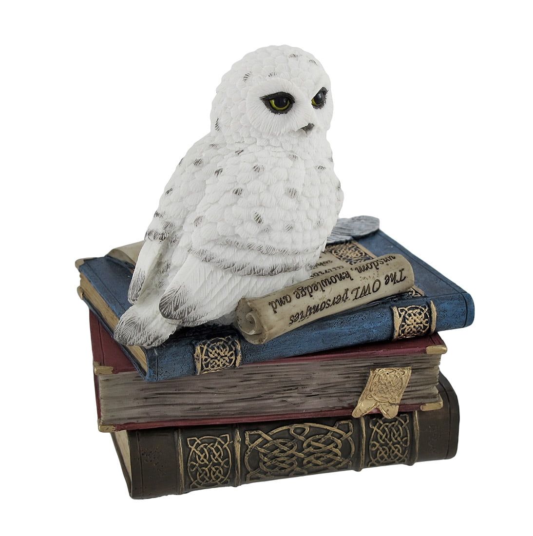 Snow Owl on Books Decorative Polystone Trinket Box