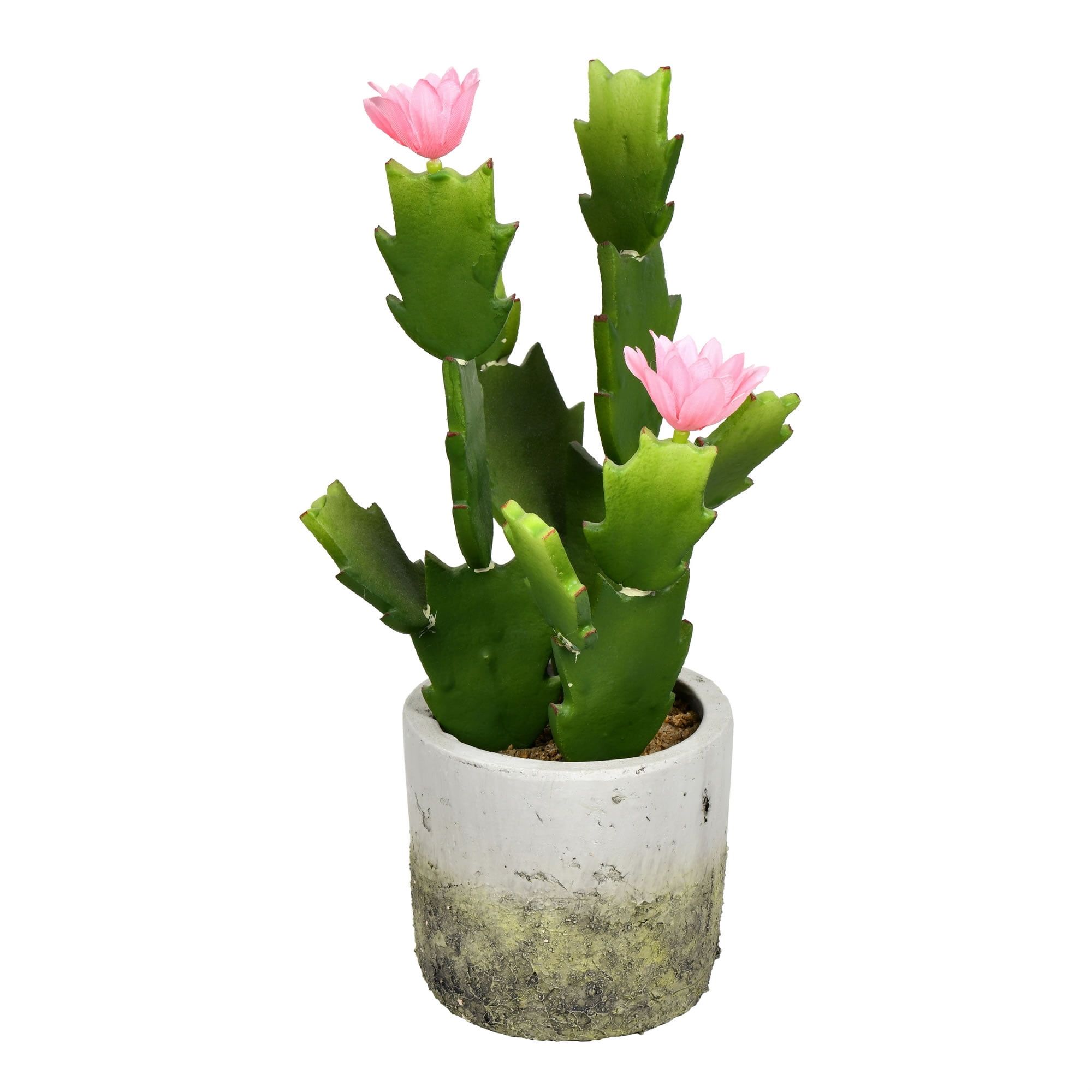 Luxe 11" Green Plastic Cactus in Artisan Cement Pot