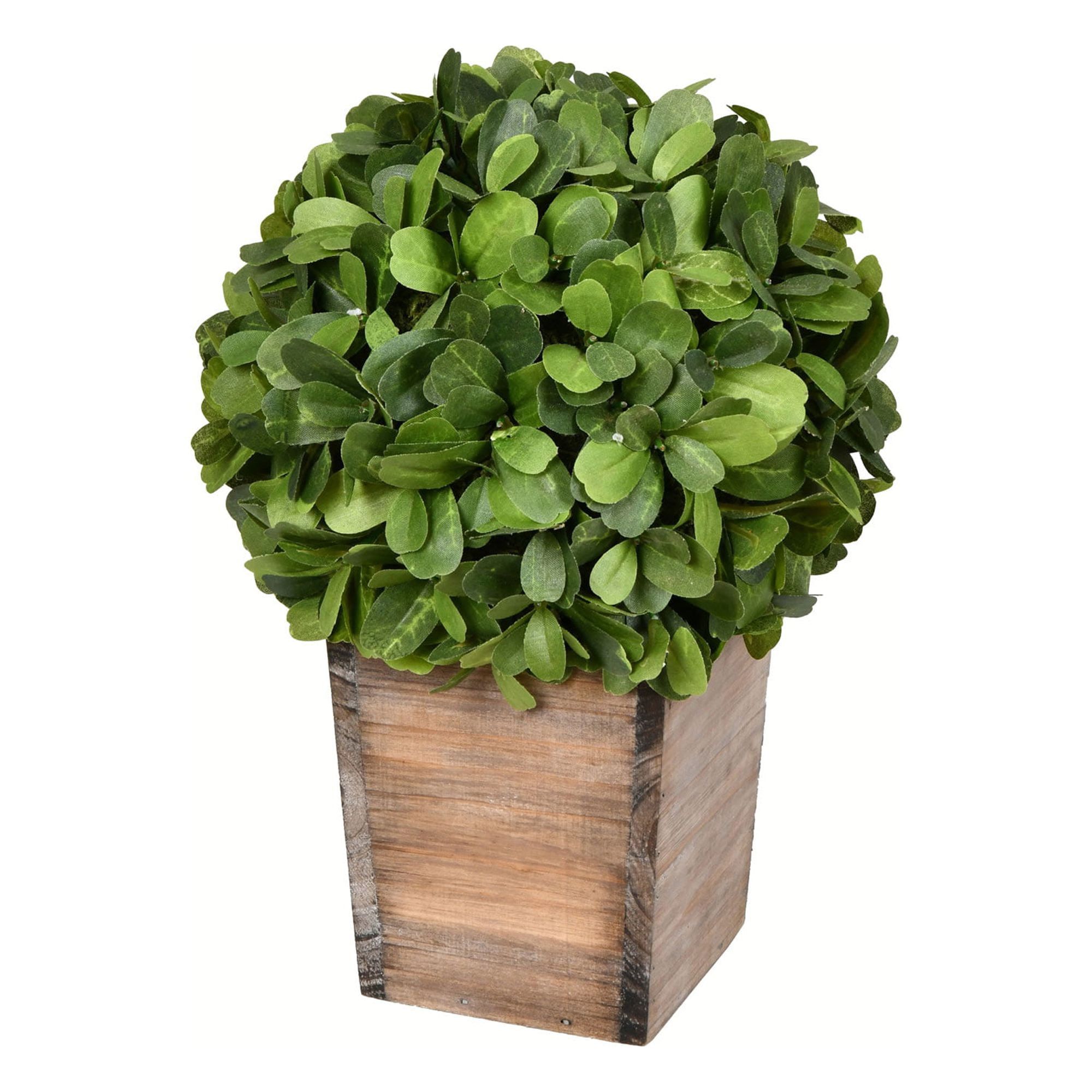 11" Green Plastic Boxwood Topiary in Wooden Pot