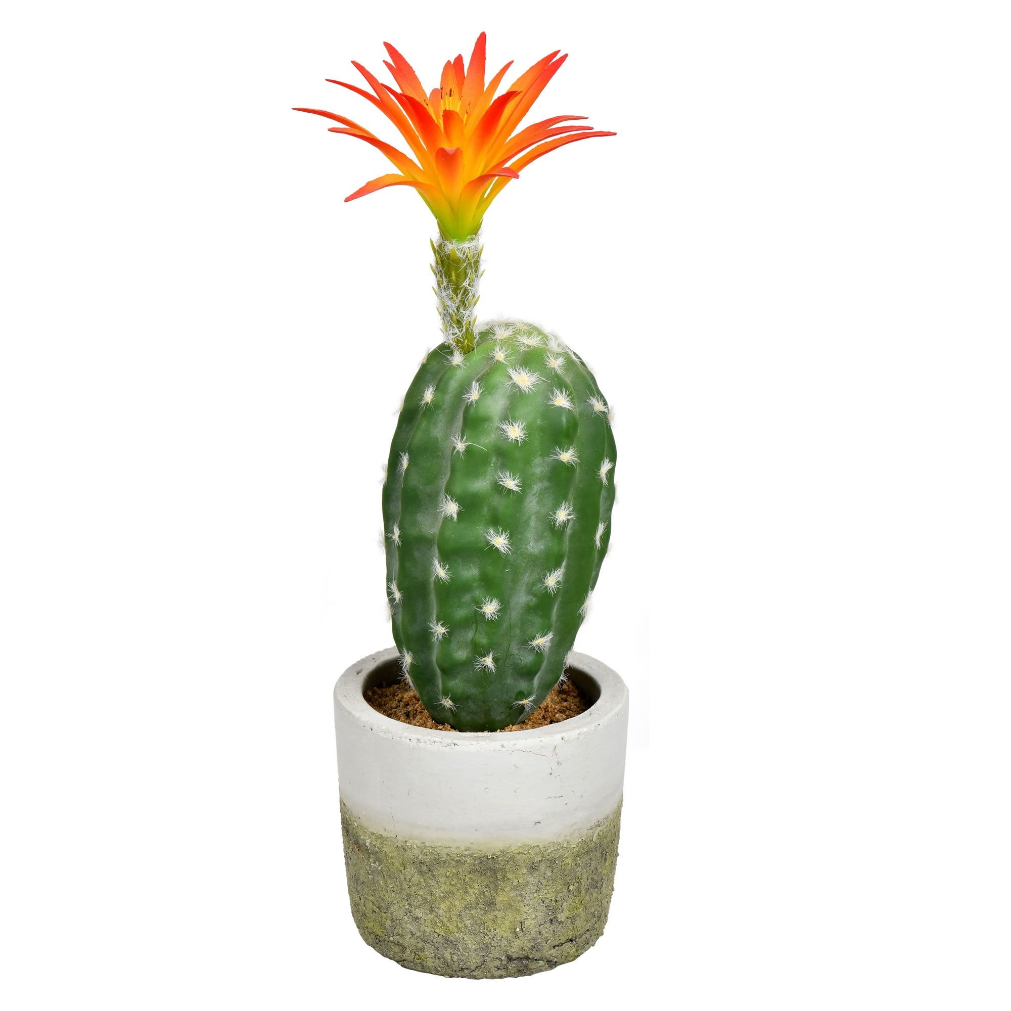 Luminous 12" Plastic Cactus Arrangement in Cement Pot