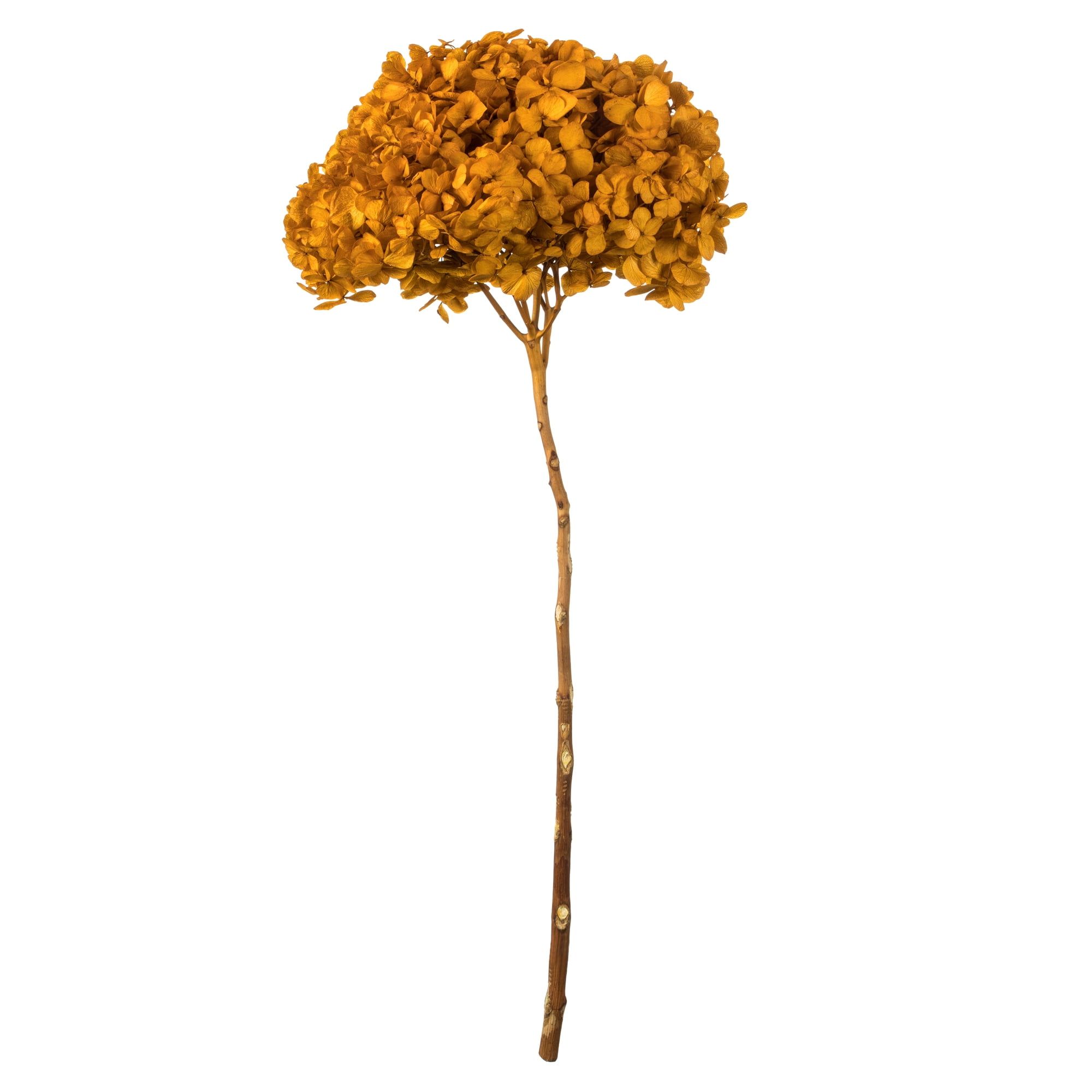 Aspen Gold Hydrangea Faux Floral Arrangement - 15"