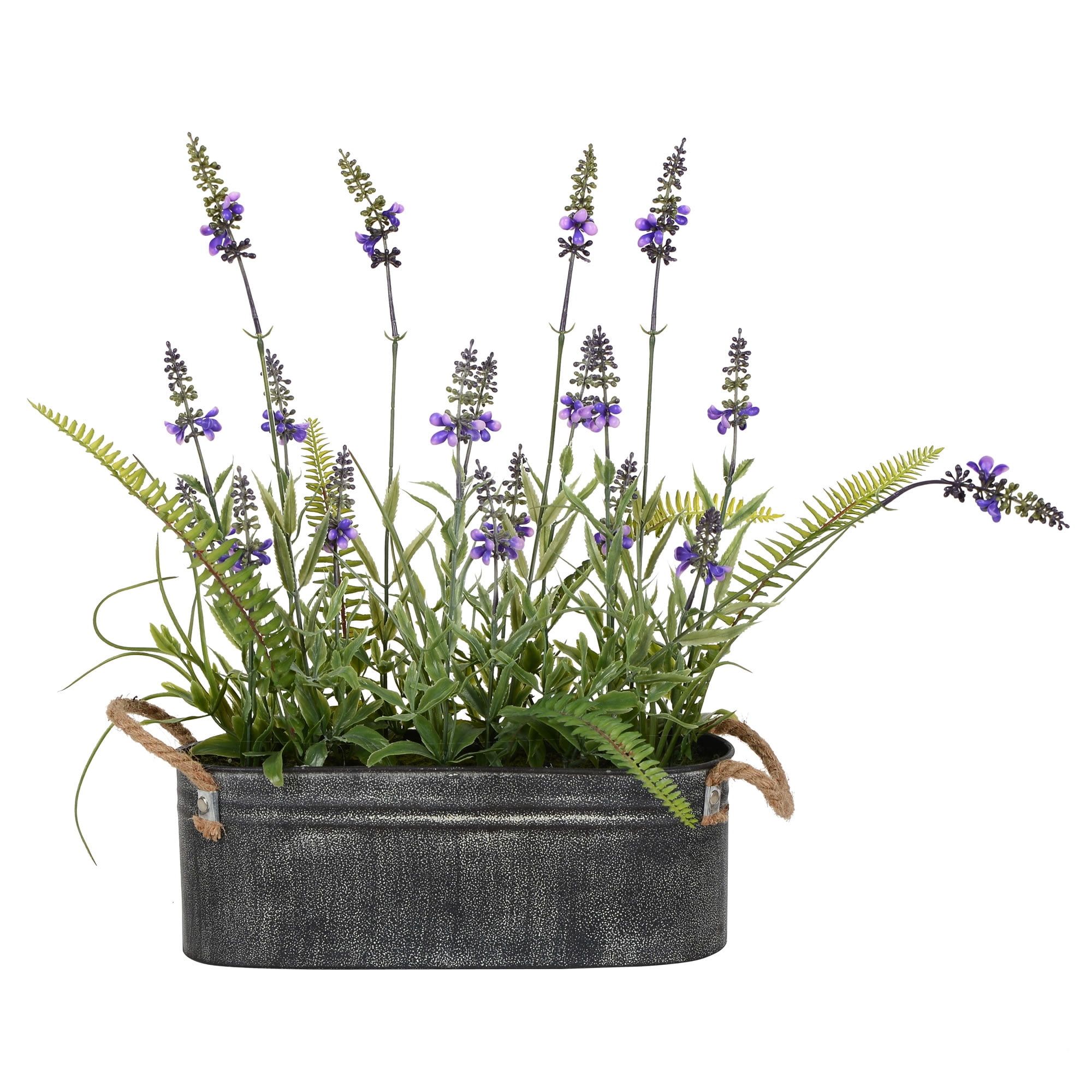 Rustic Elegance Lavender & Green Fern Tabletop Centerpiece in Iron Pot