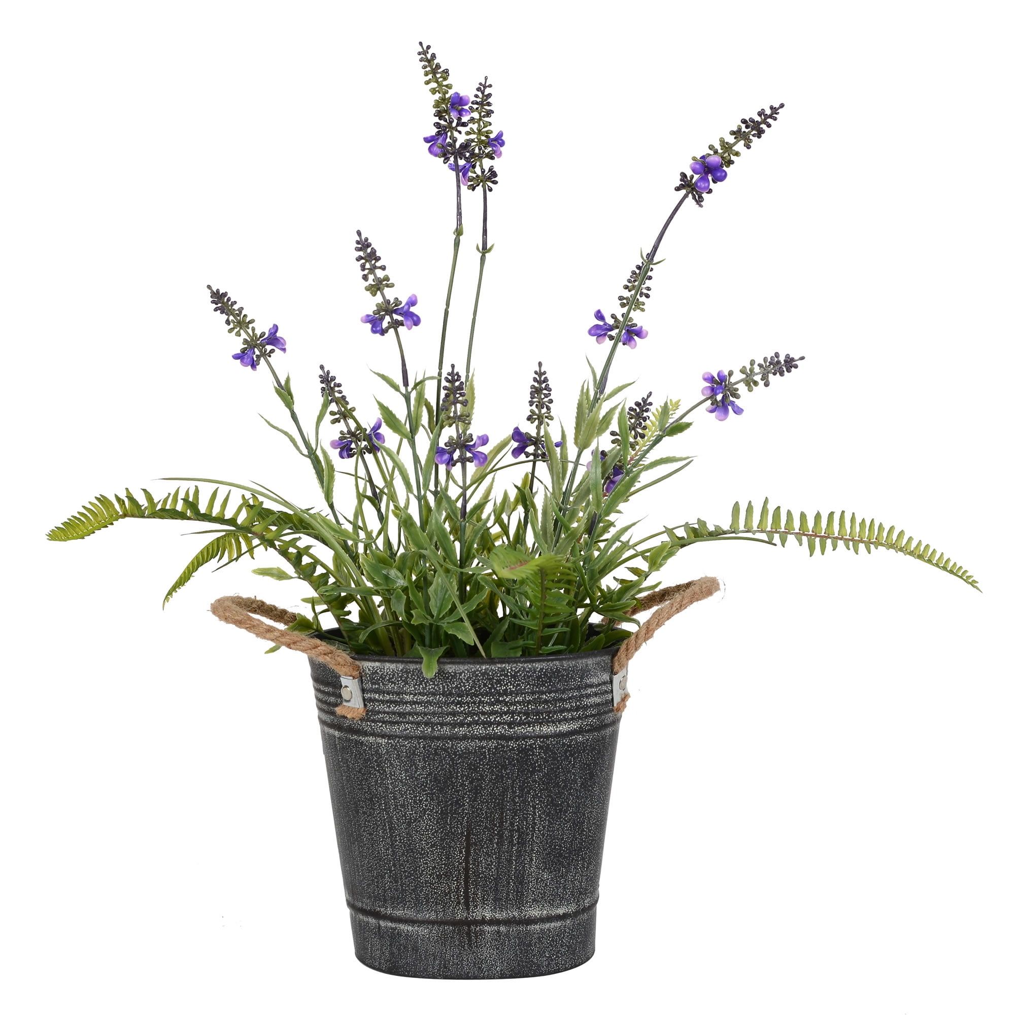 18" Lavender Flower Fern in Black Iron Pot