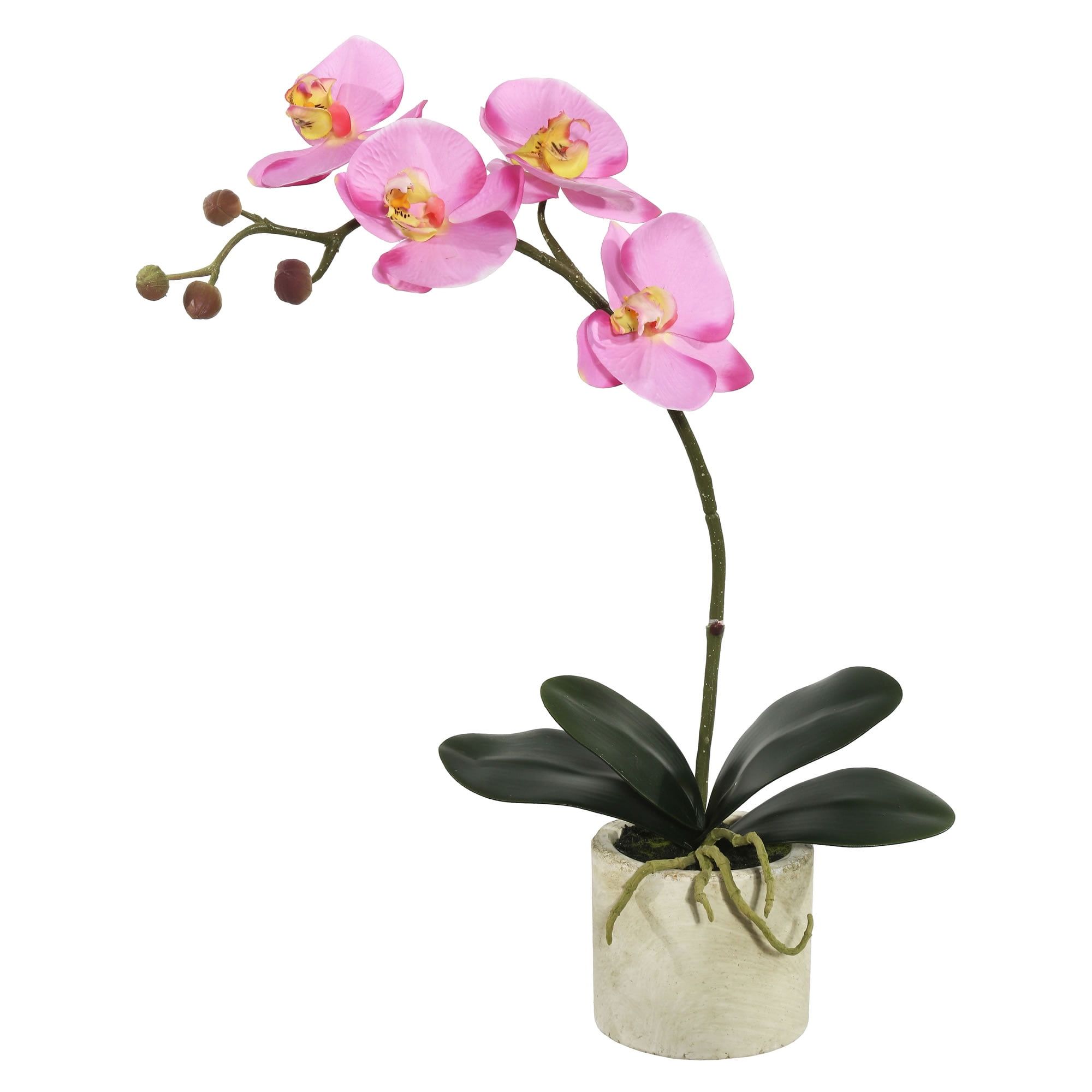 20" Lavender Orchid in White Ceramic Pot