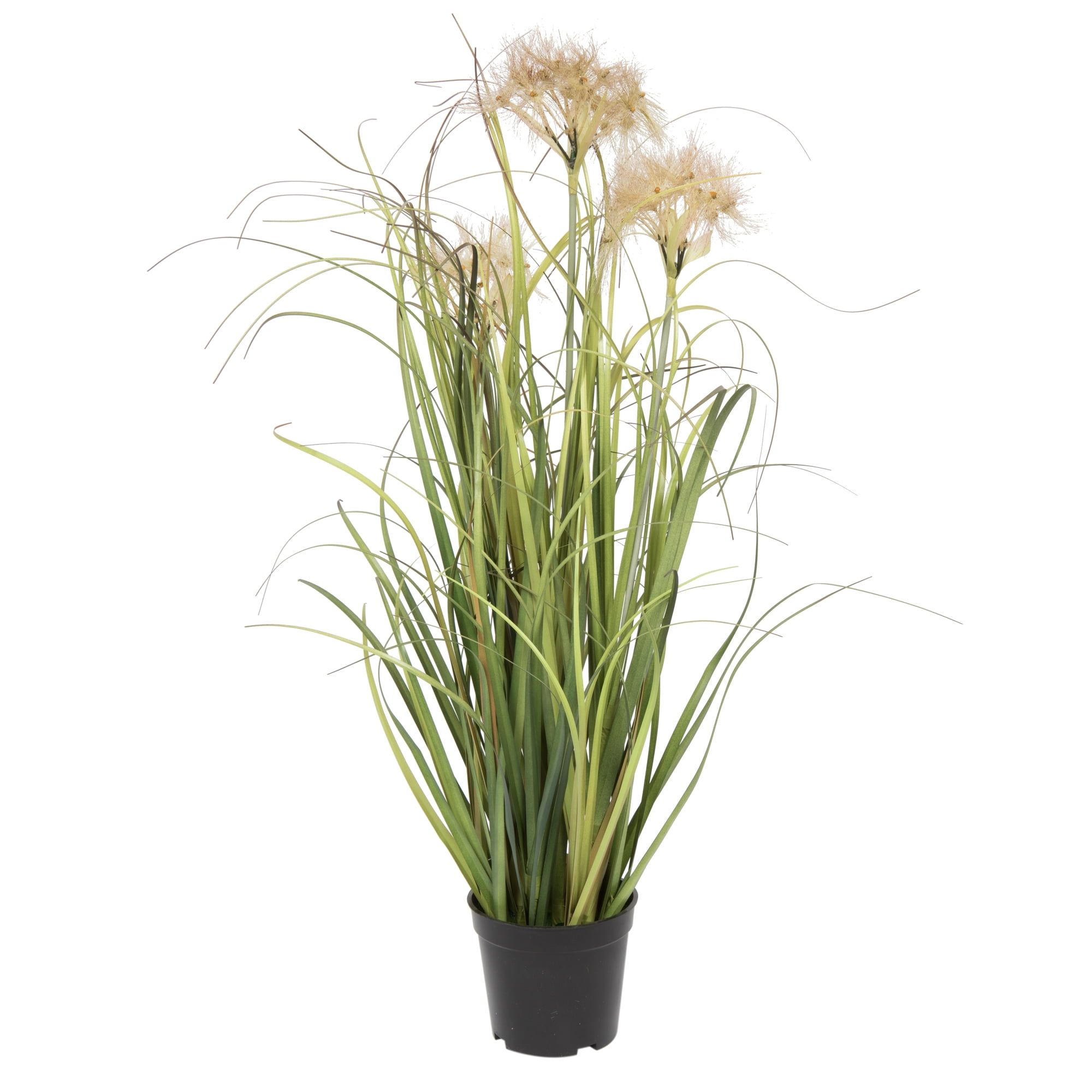 24" Green Artificial Potted Grass with Cream Dandelions