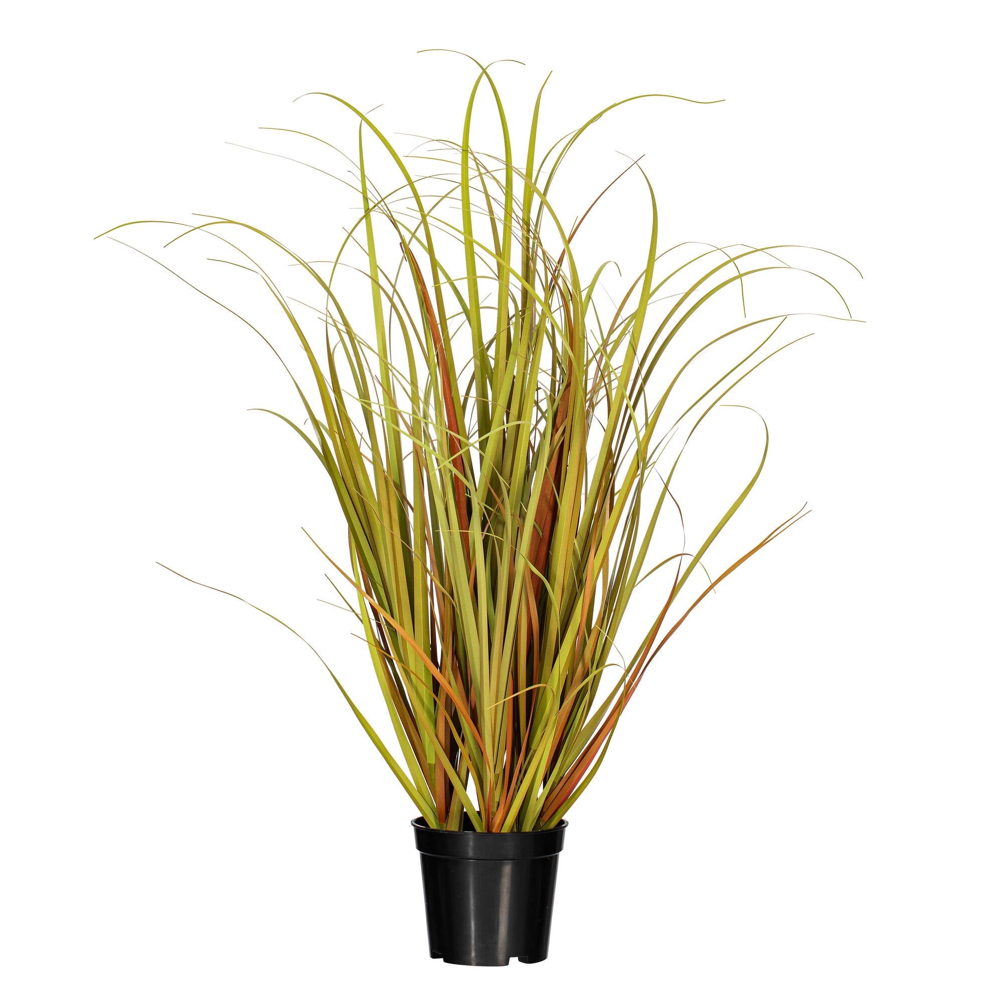 Autumnal Charm 24" Mixed Brown PVC Grass in Black Pot