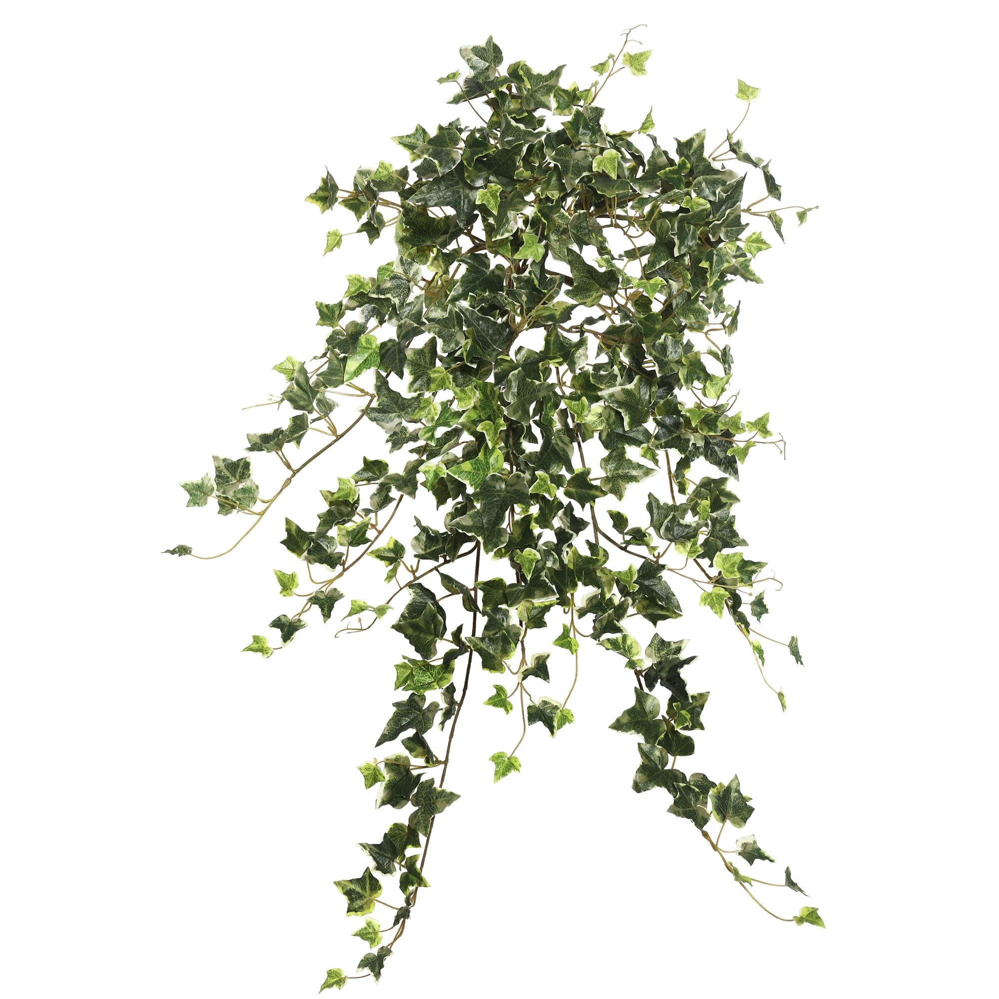 Vickerman 26" Artificial Variegated Ivy Hanging Bush