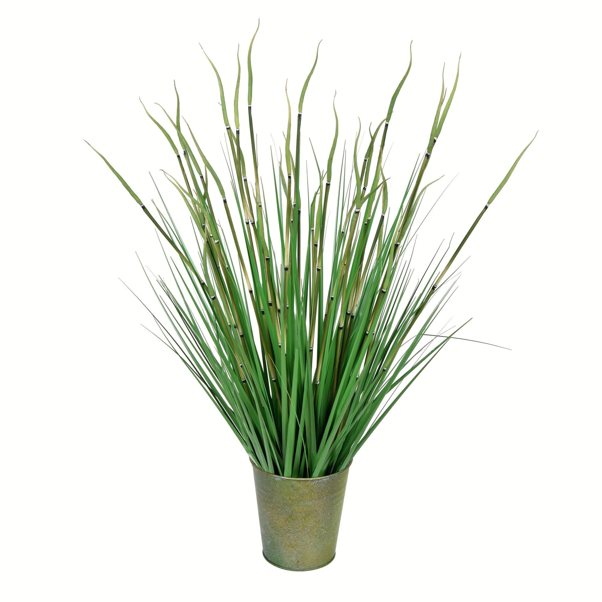 28" Green Reed Grass in Decorative Iron Pot