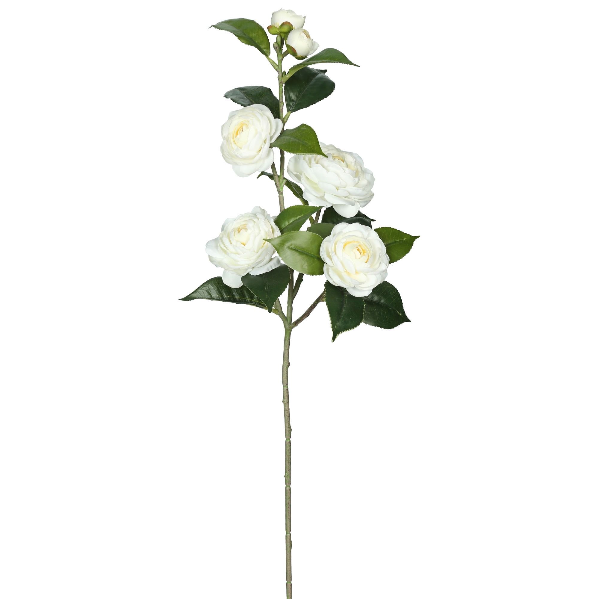 Cream Artificial Camellia Spray with Green Foliage, 29"