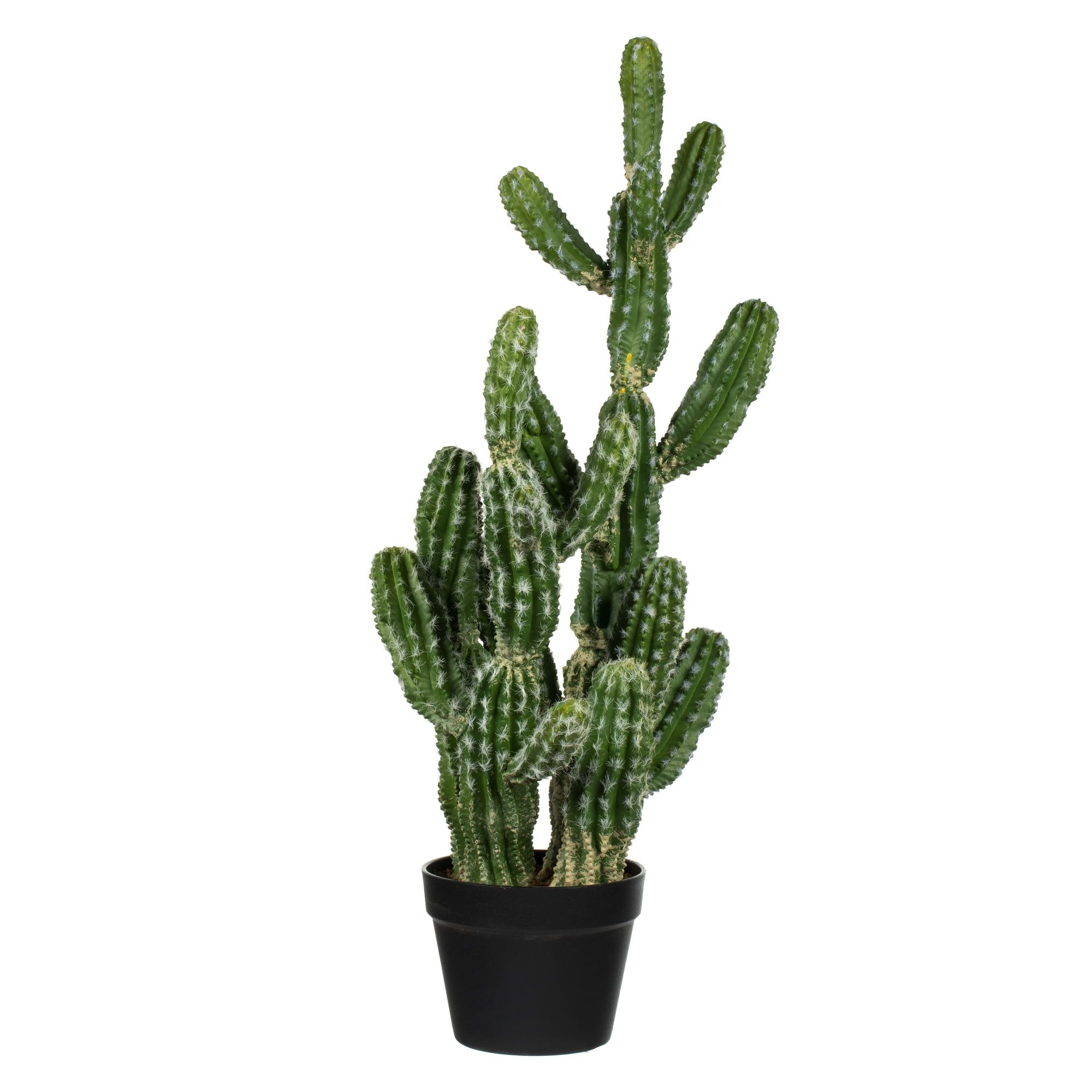 Tiny Green Faux Cactus in Black Plastic Pot