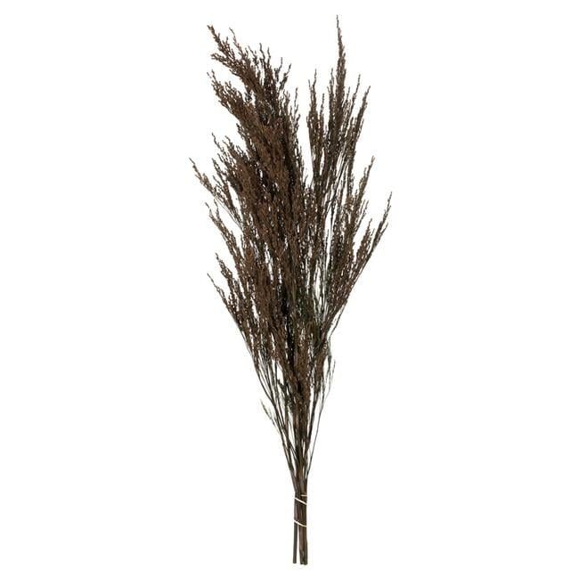 36-40" Natural Brown Reed Grass Bundle Centerpiece