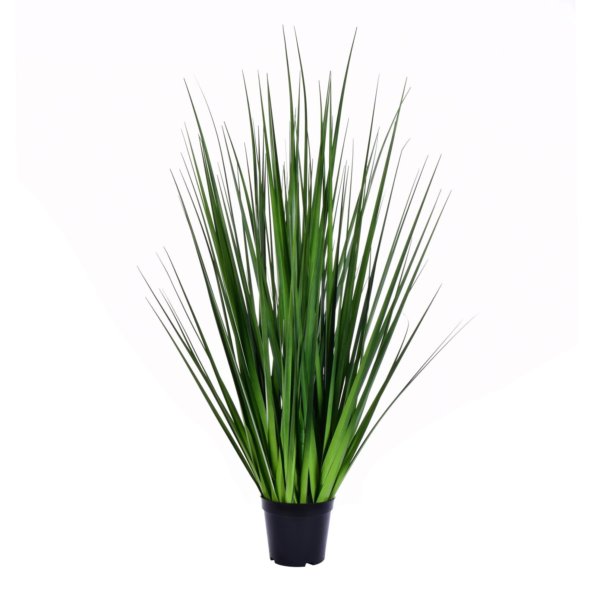 Evergreen Bliss 36" Lush Artificial Potted Grass in Sleek Black Pot