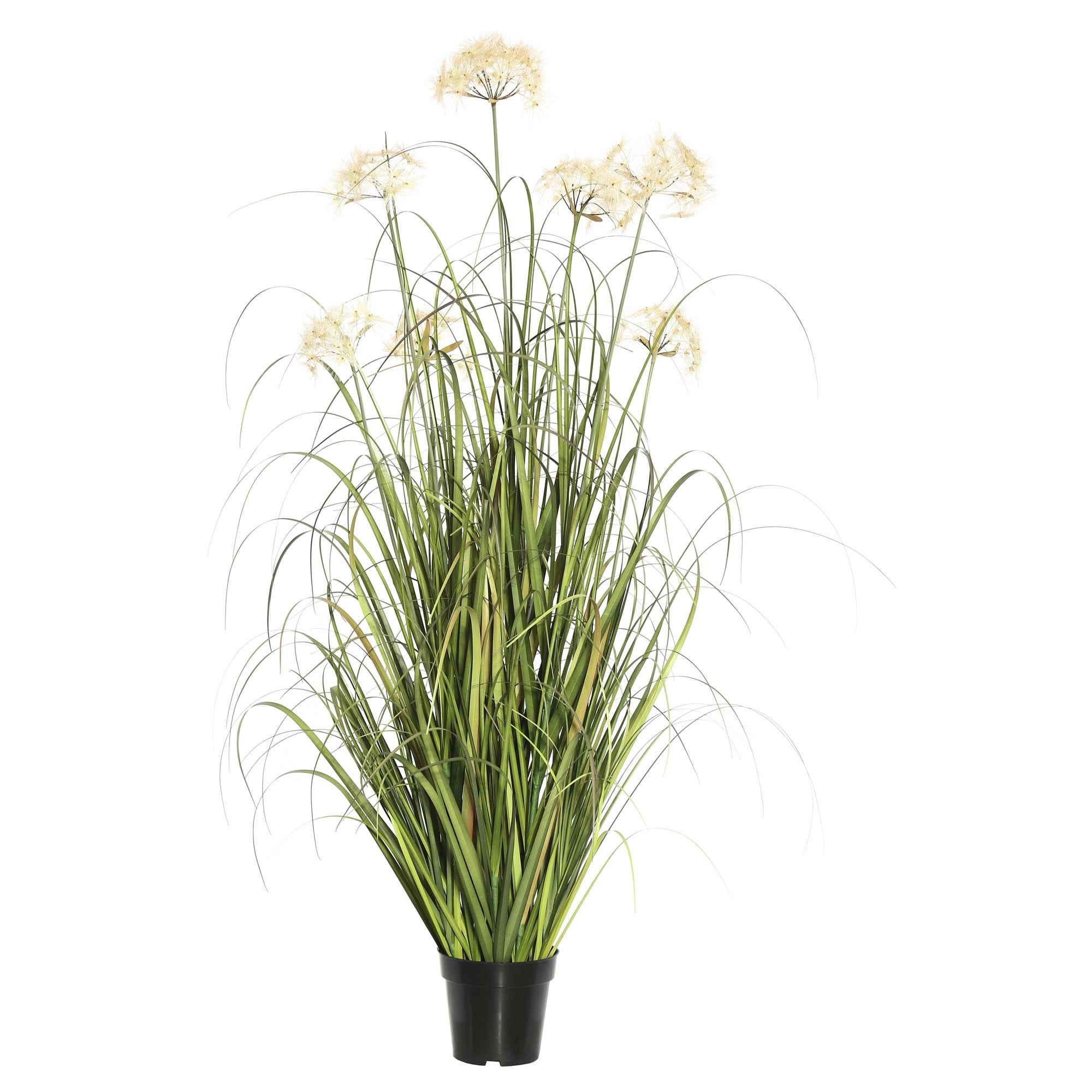 Elegant 48" Cream Dandelion and Green Grass Potted Arrangement