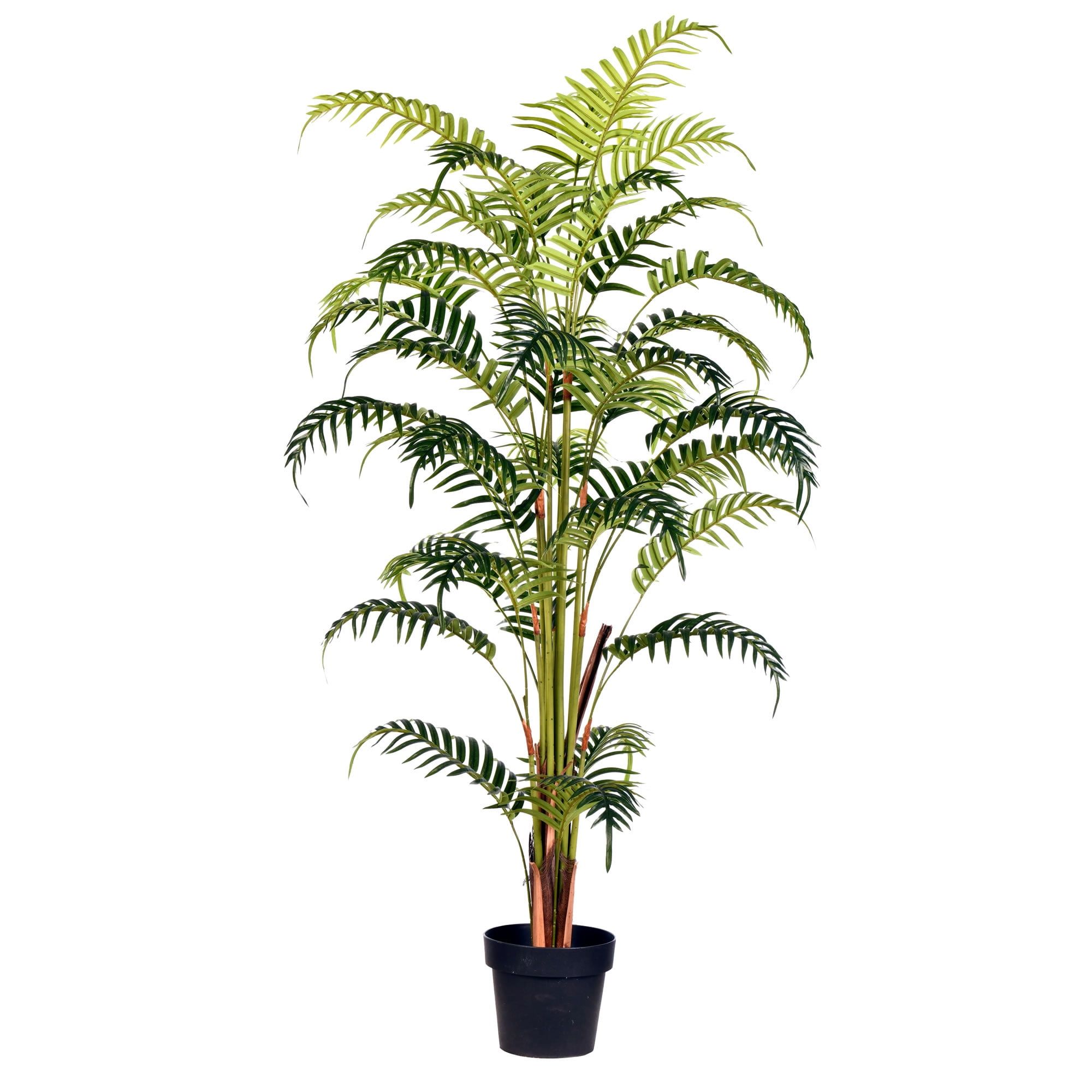 Outdoor Faux Fern Floor Plant in Black Planter, 59" Real Touch Leaves