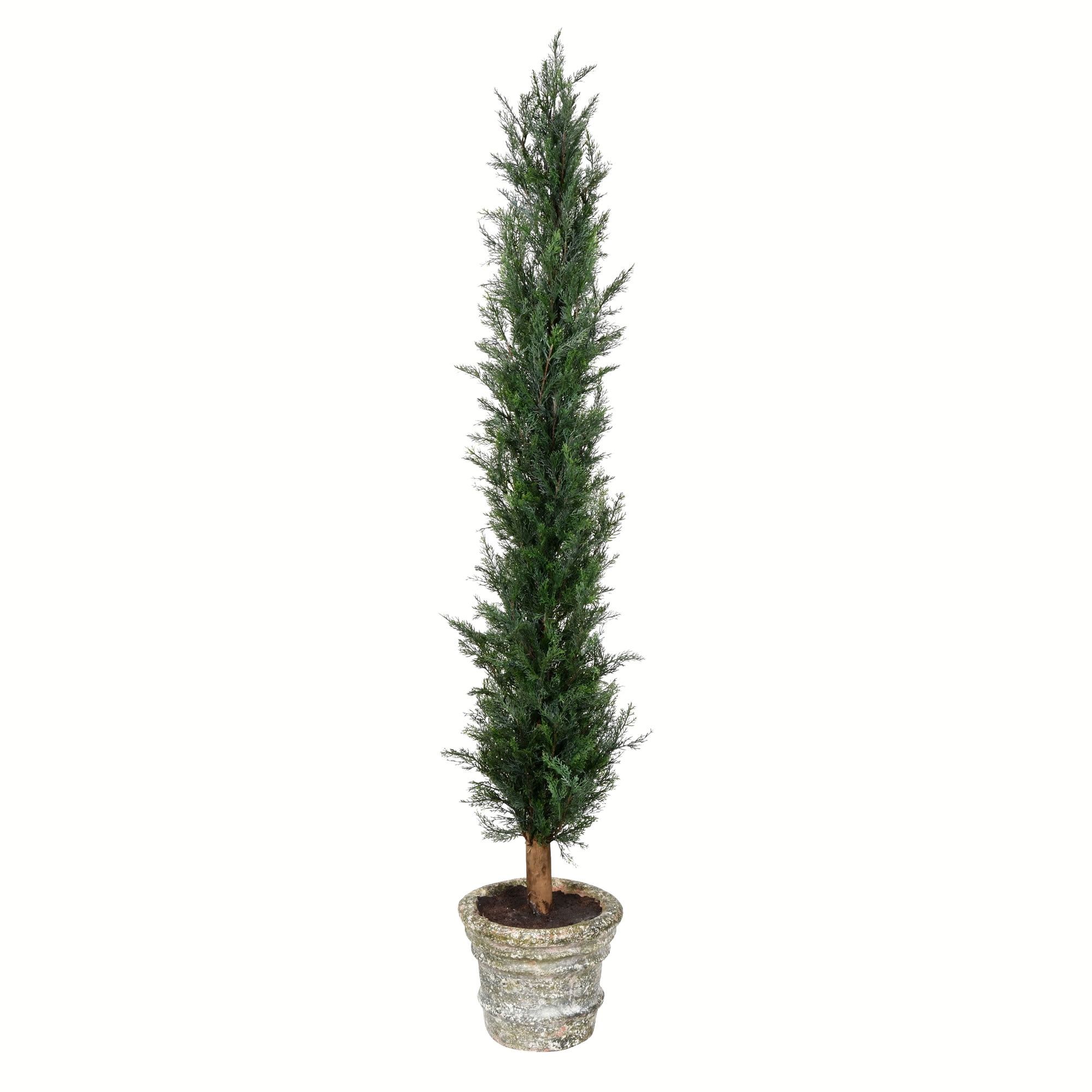 Elegant 60" Green Cedar Topiary in Sleek Design - No Pot Included