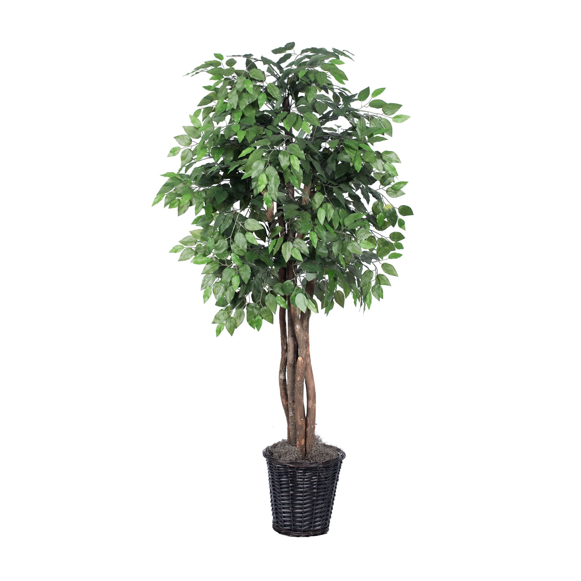 Elegant 6' Silk Ficus Floor Plant in Decorative Rattan Basket