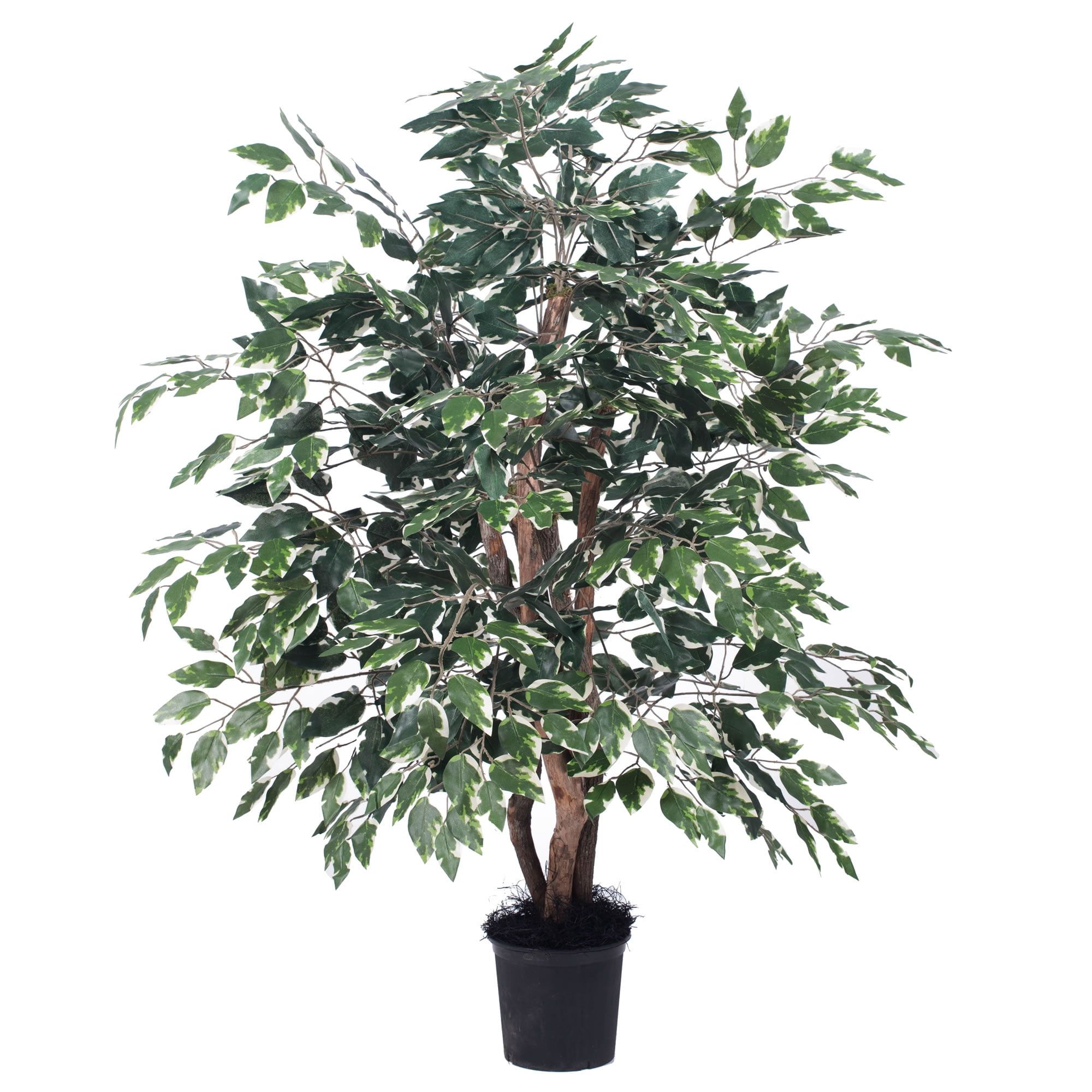 Elegant 4' Variegated Ficus in Black Pot - Silk and Plastic