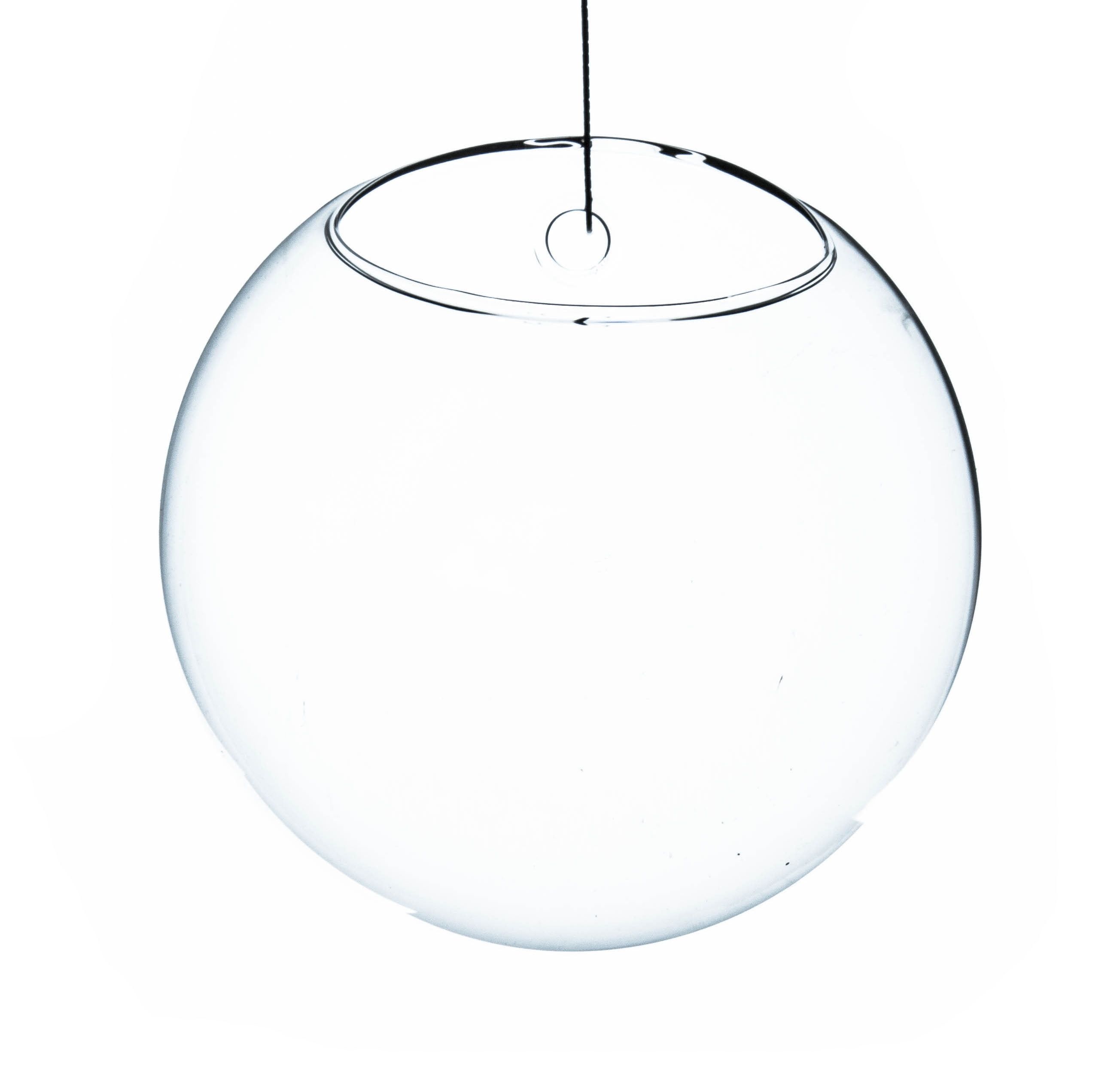 Clear Glass Half-Round Wall Hanging Terrarium Vase