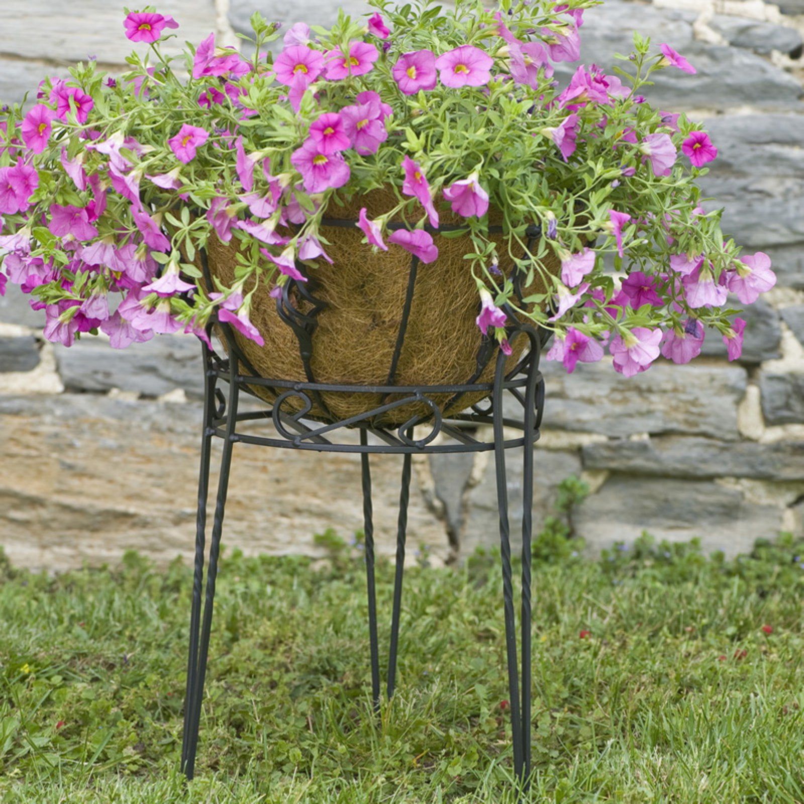 Canterbury Scroll Top 15" Black Wire Plant Stand