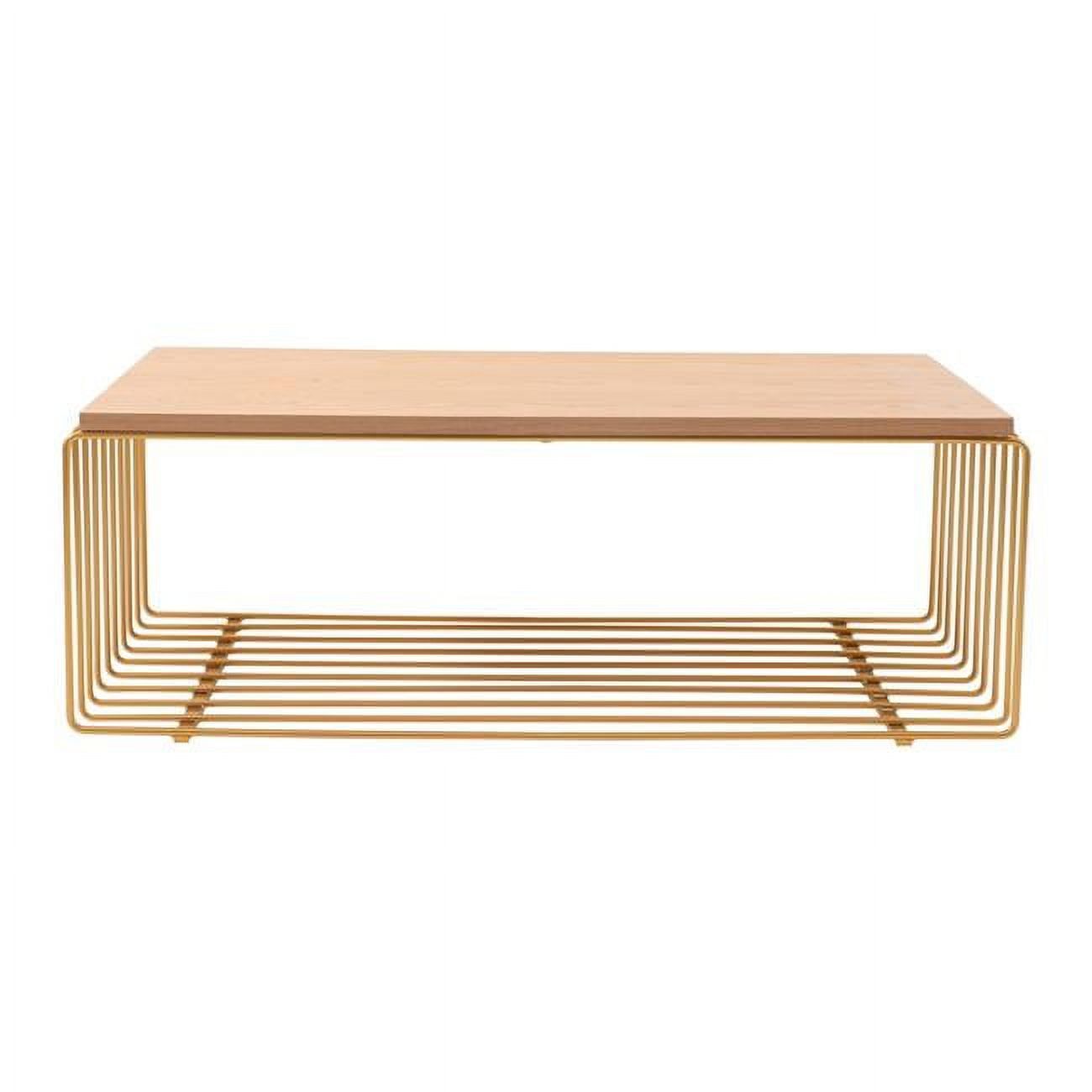 Walden 40" Gold Rectangular Coffee Table with Ash Wood Veneer Top