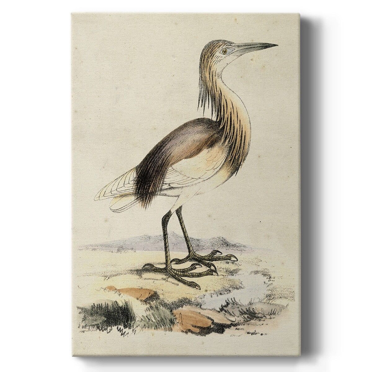 Antique Heron Canvas Art in Beige and Brown