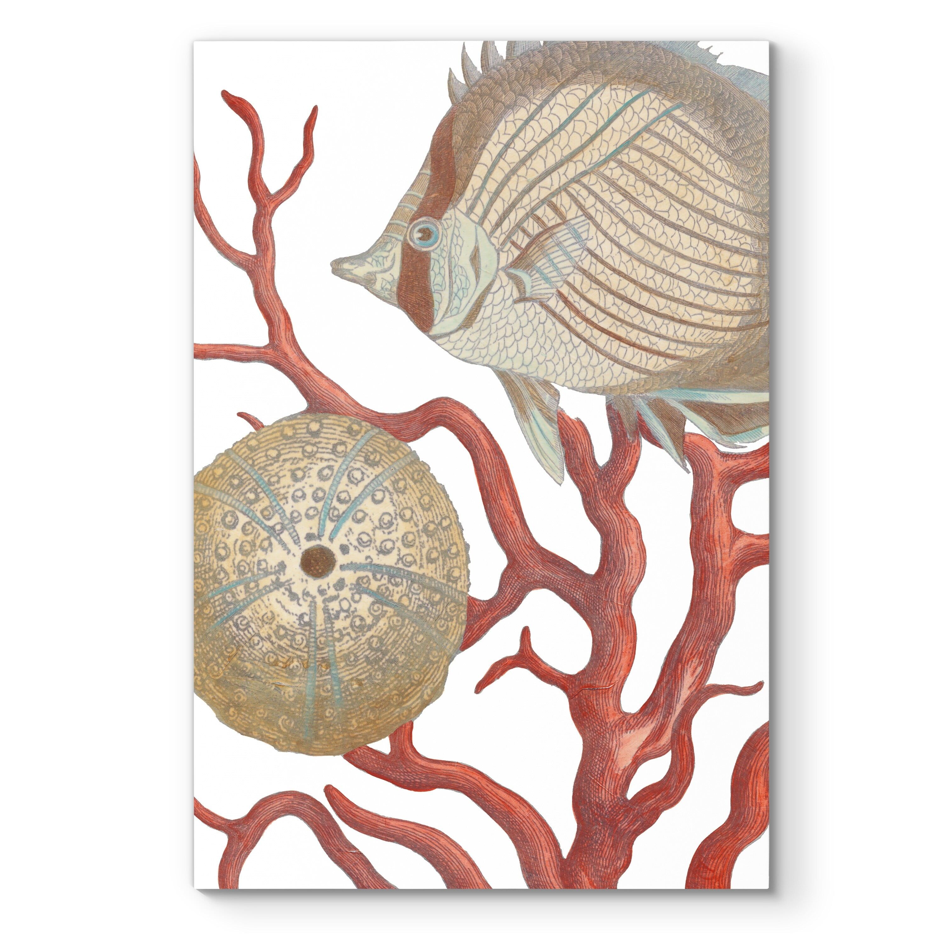 Coastal Fish and Coral Premium Canvas Art 8x12