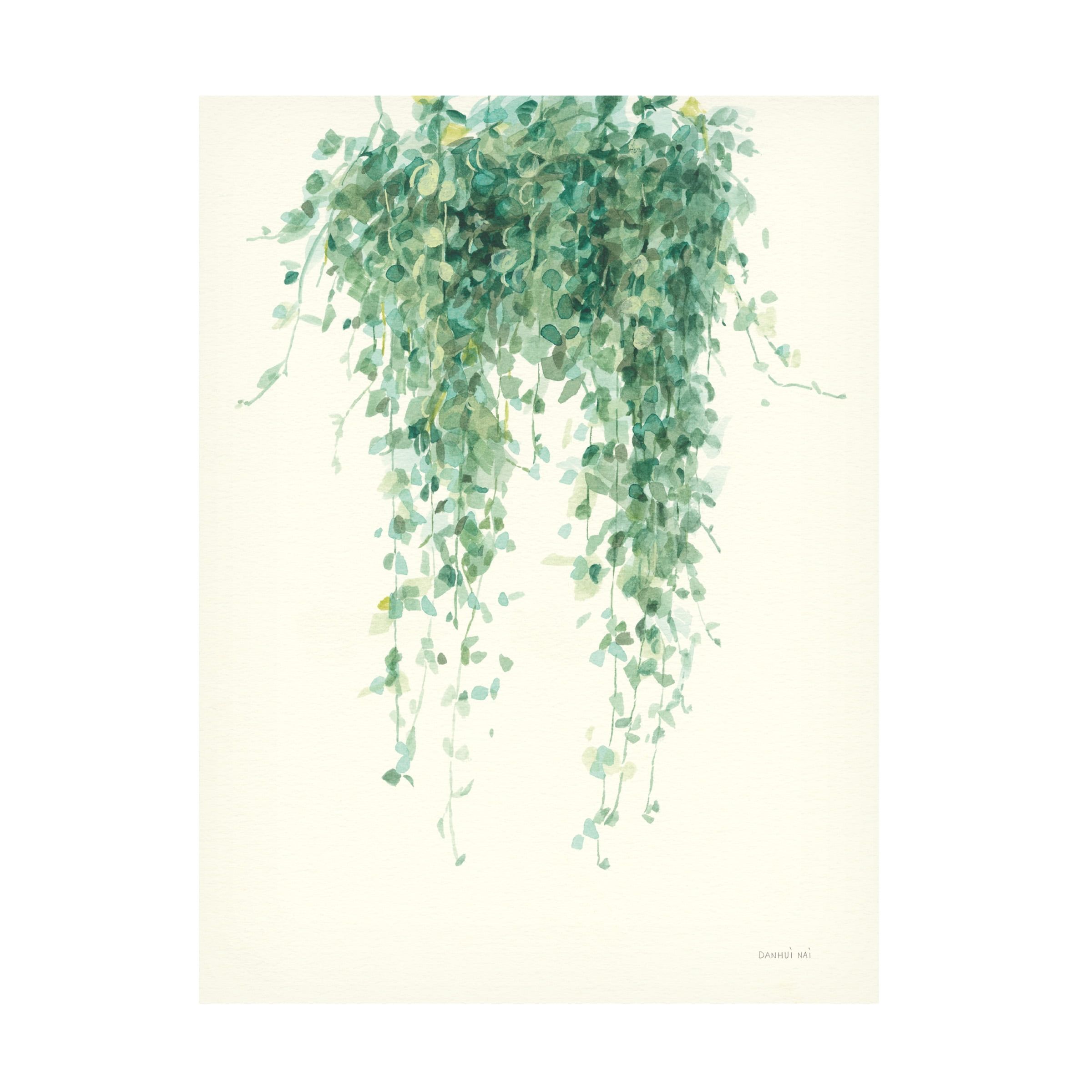 Green Botanical Hanging Plant Canvas Print 24x32